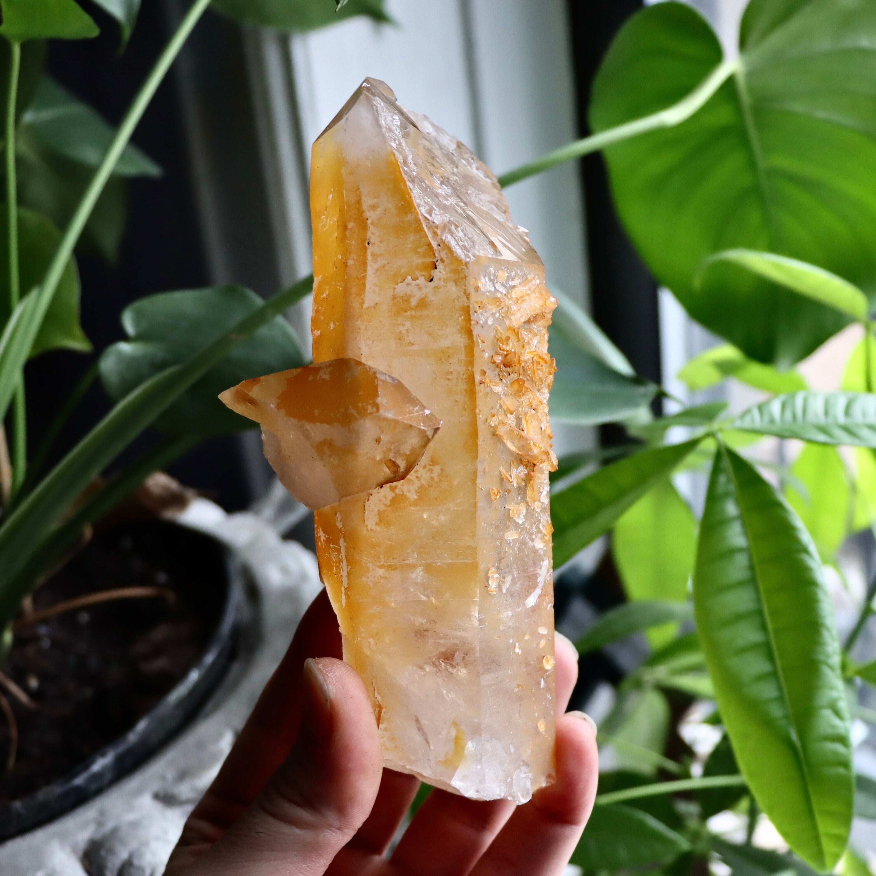 Golden Healer Quartz Crystal | Natural Quartz Point