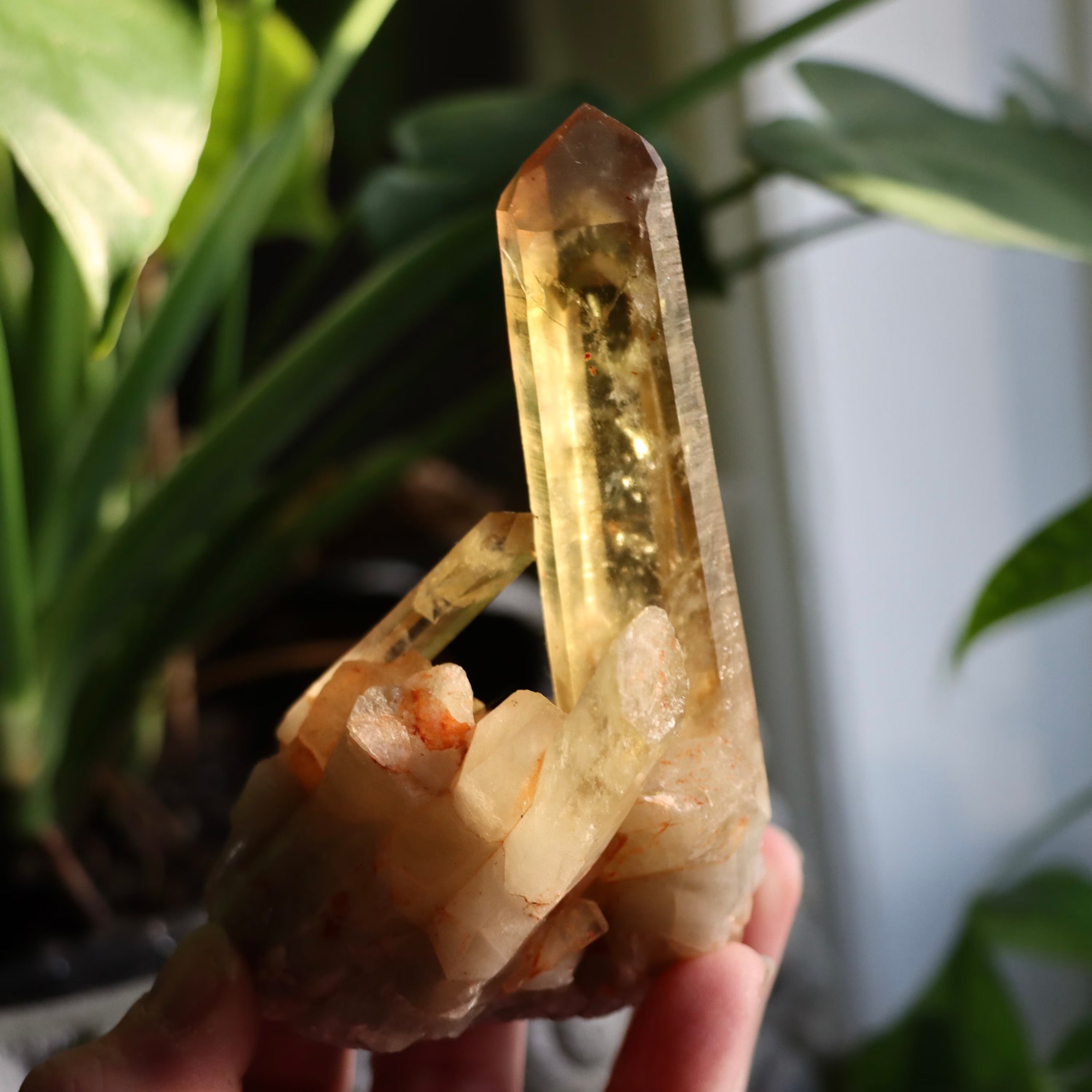 Natural Citrine Point | Madagascar
