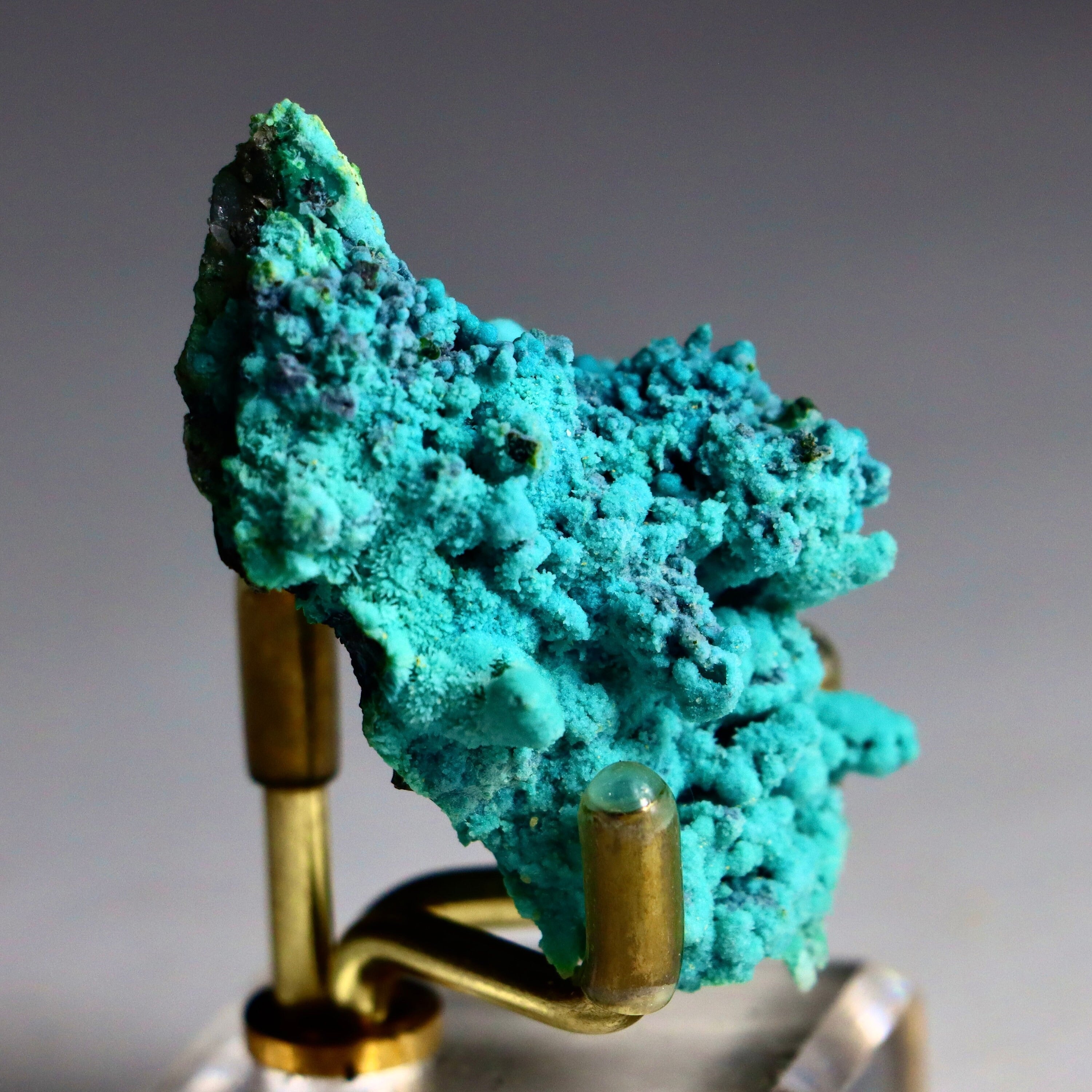 Chrysocolla on Quartz with Malachite