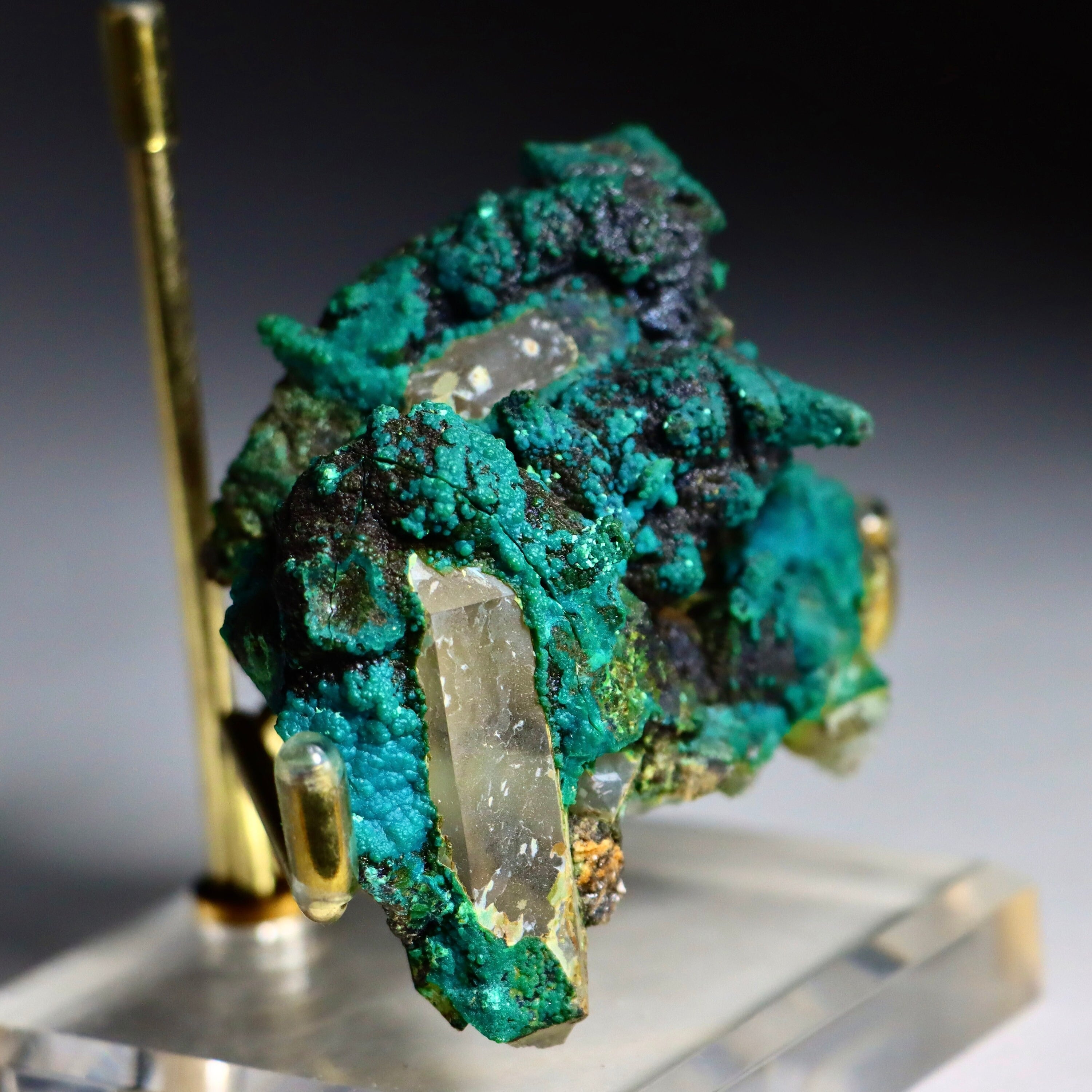 Chrysocolla on Quartz with Calcite Pseudomorphs | Peru