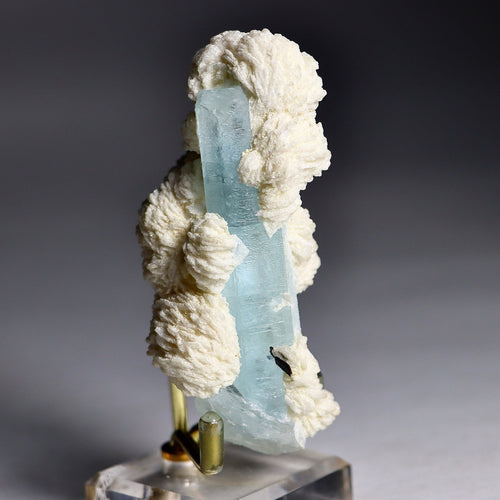 Aquamarine Crystal in Albite Rosettes with Black Tourmaline | Natural Mineral Specimen from Shigar Valley, Pakistan