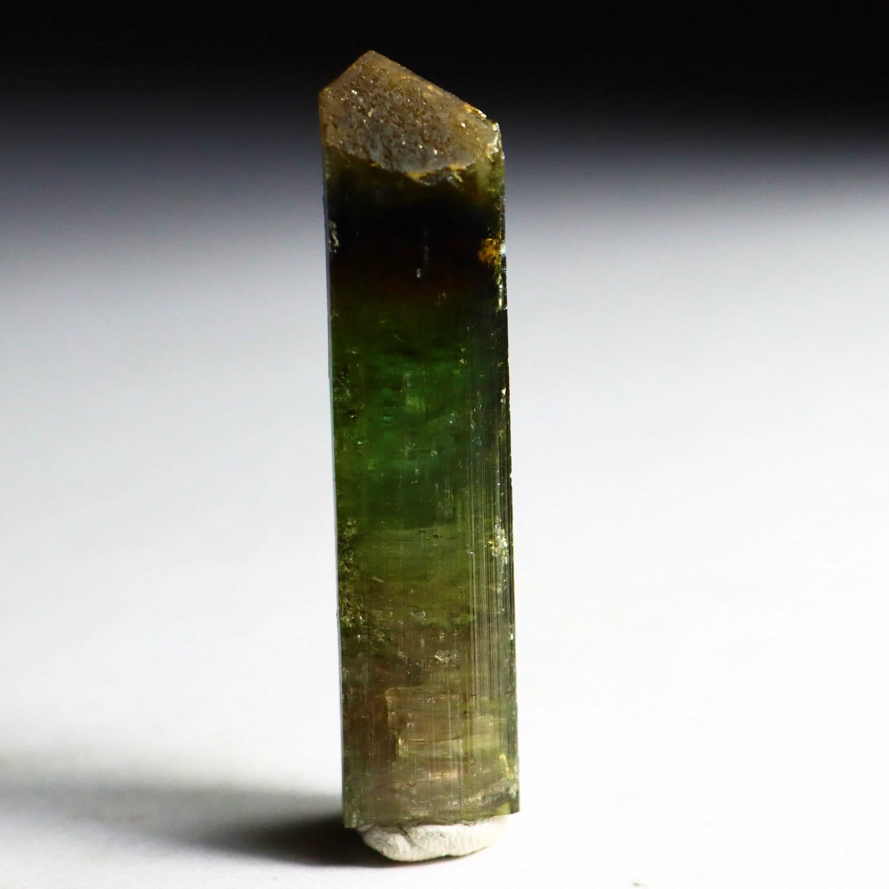 Watermelon Tourmaline Pencil Crystal | Natural Pink & Green Tourmaline on Quartz from Minas Gerais, Brazil