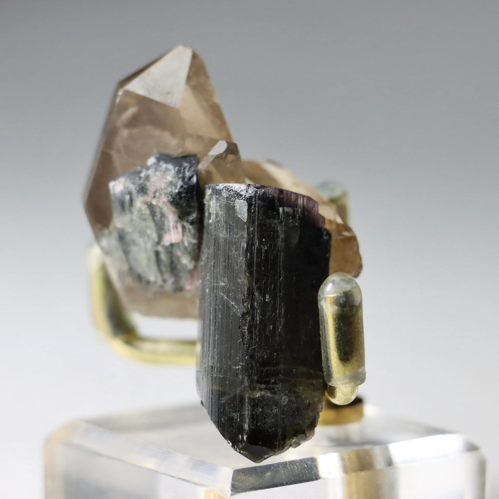 Liddicoatite Tourmaline with Smoky Quartz | Madagascar