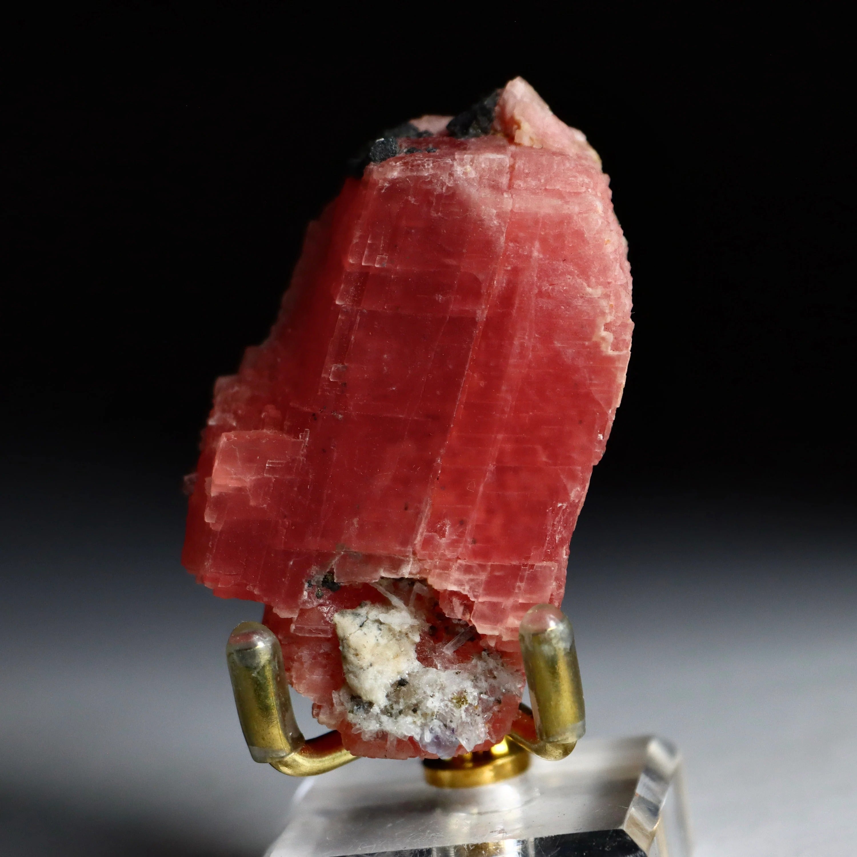 Sweet Home Mine Rhodochrosite with Fluorite, Quartz, Tetrahedrite & Pyrite | Rare Colorado Mineral Specimen