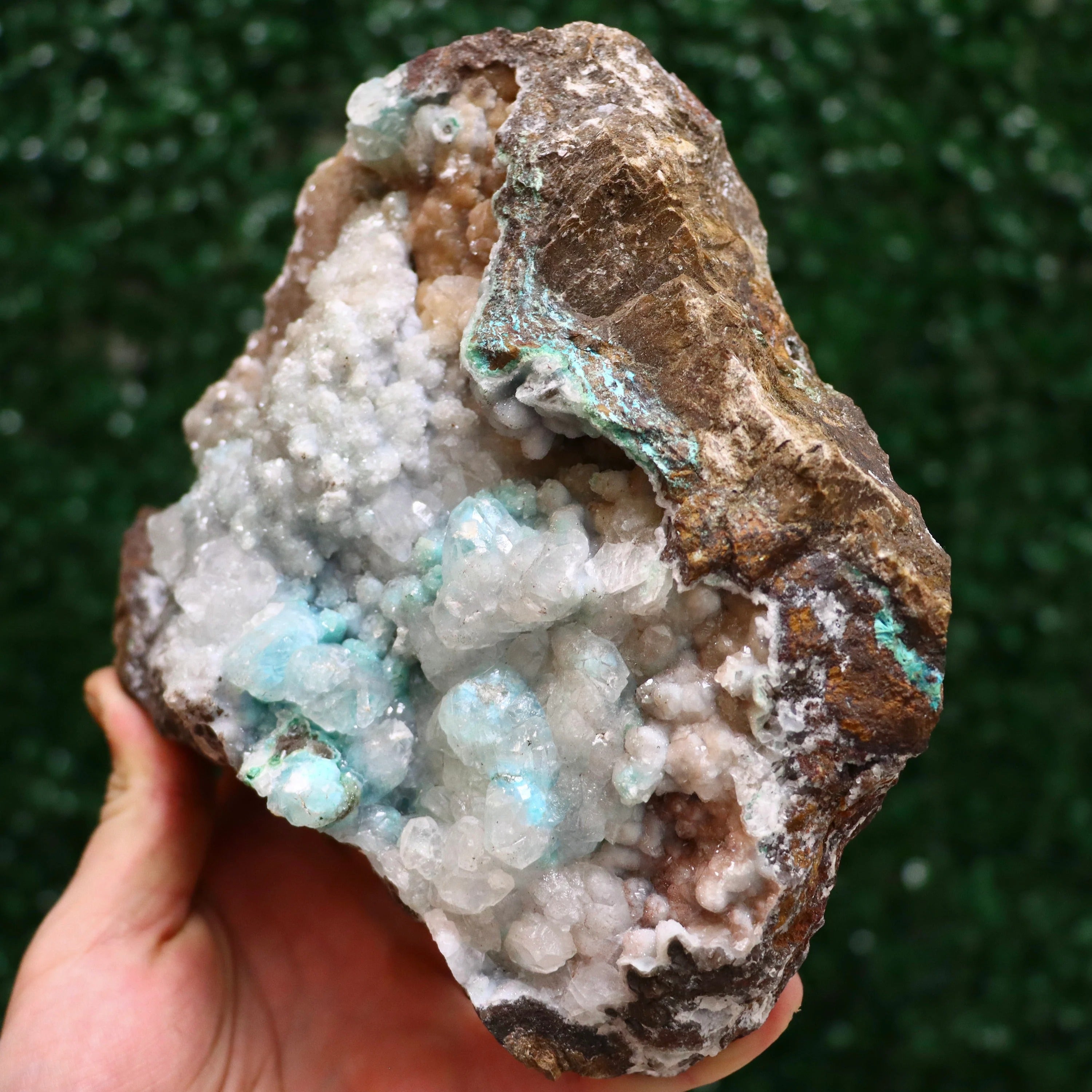 Druzy Quartz & Calcite on Chrysocolla and Malachite | Fine Mineral Specimen from Lily Mine, Peru