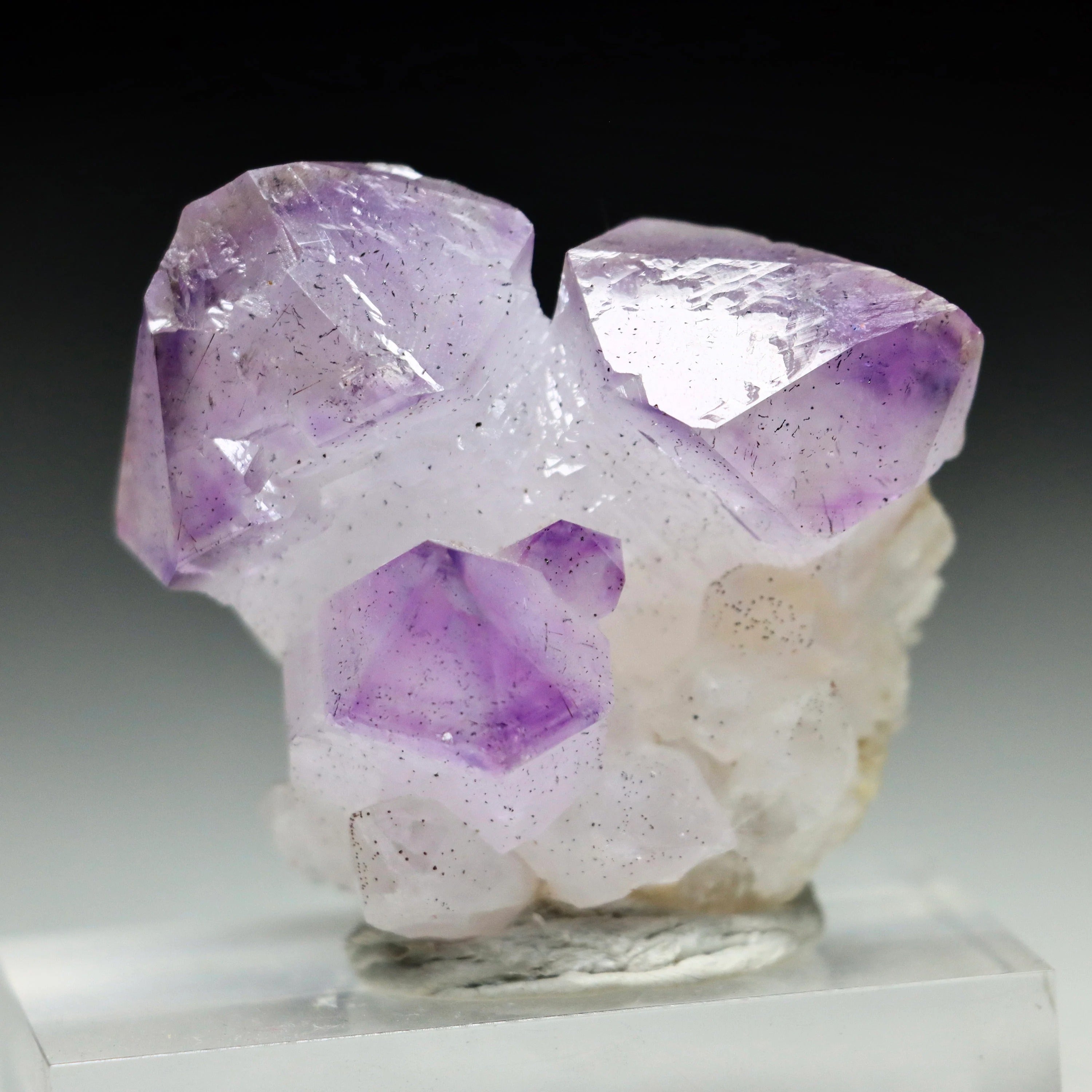 Japan Law Twin Amethyst Scepter | Natural Amethyst Quartz Crystal from Marovaolavo Mine, Madagascar