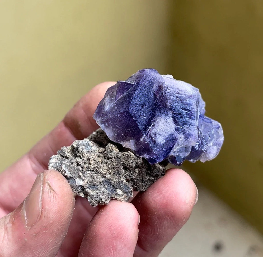 Color Changing Fluorite on Matrix | Rogerley Mine