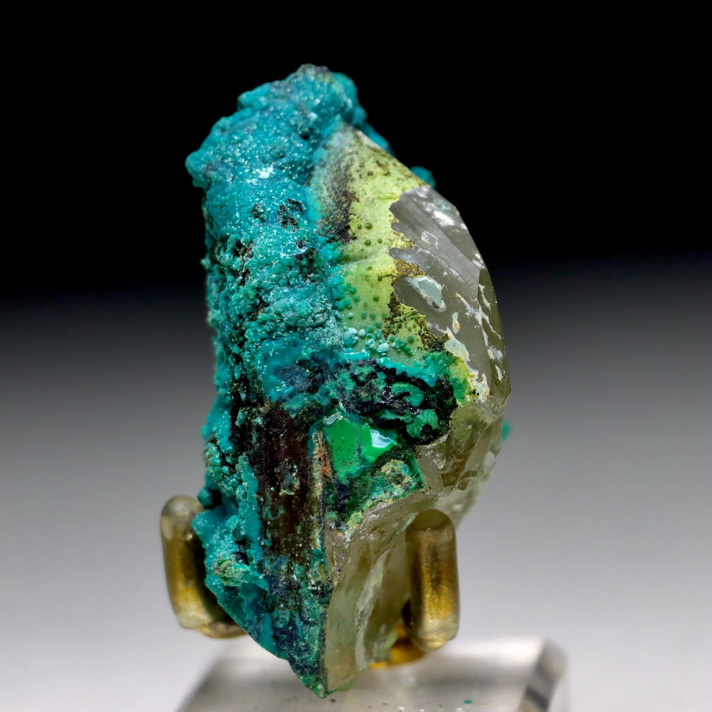 Chrysocolla after Calcite w/ Chrysocolla on Quartz w/ Malachite