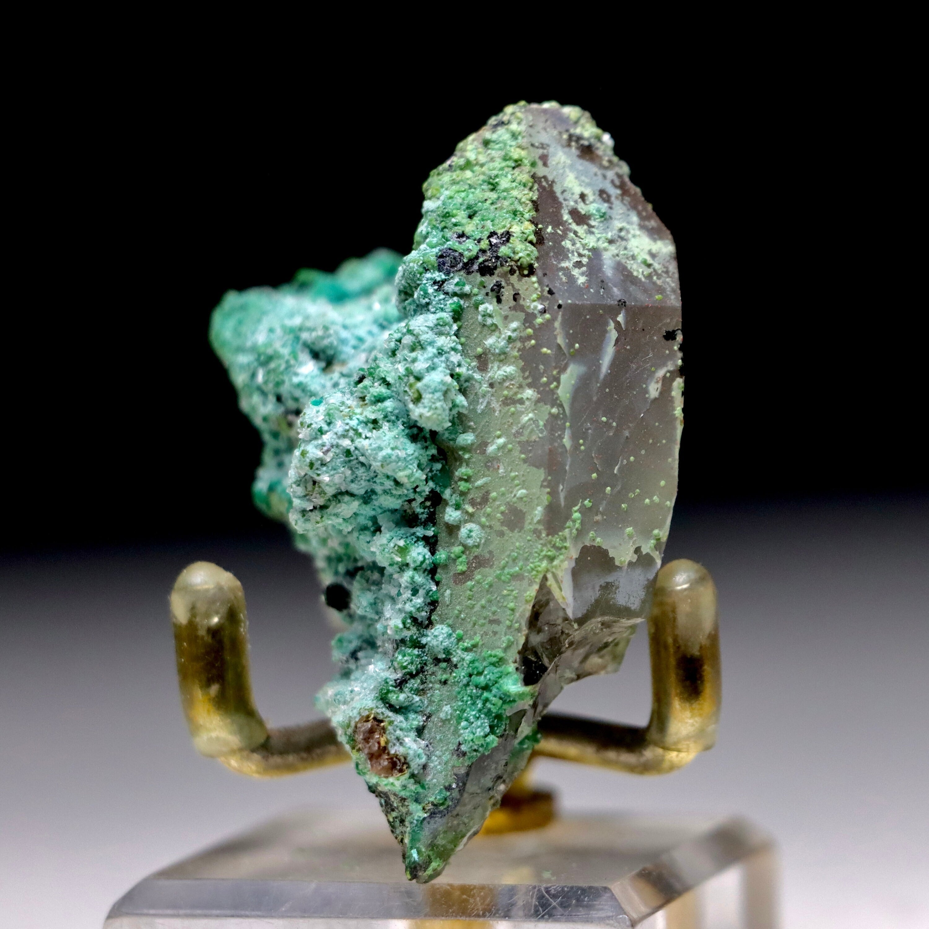 Chrysocolla on Quartz with Malachite