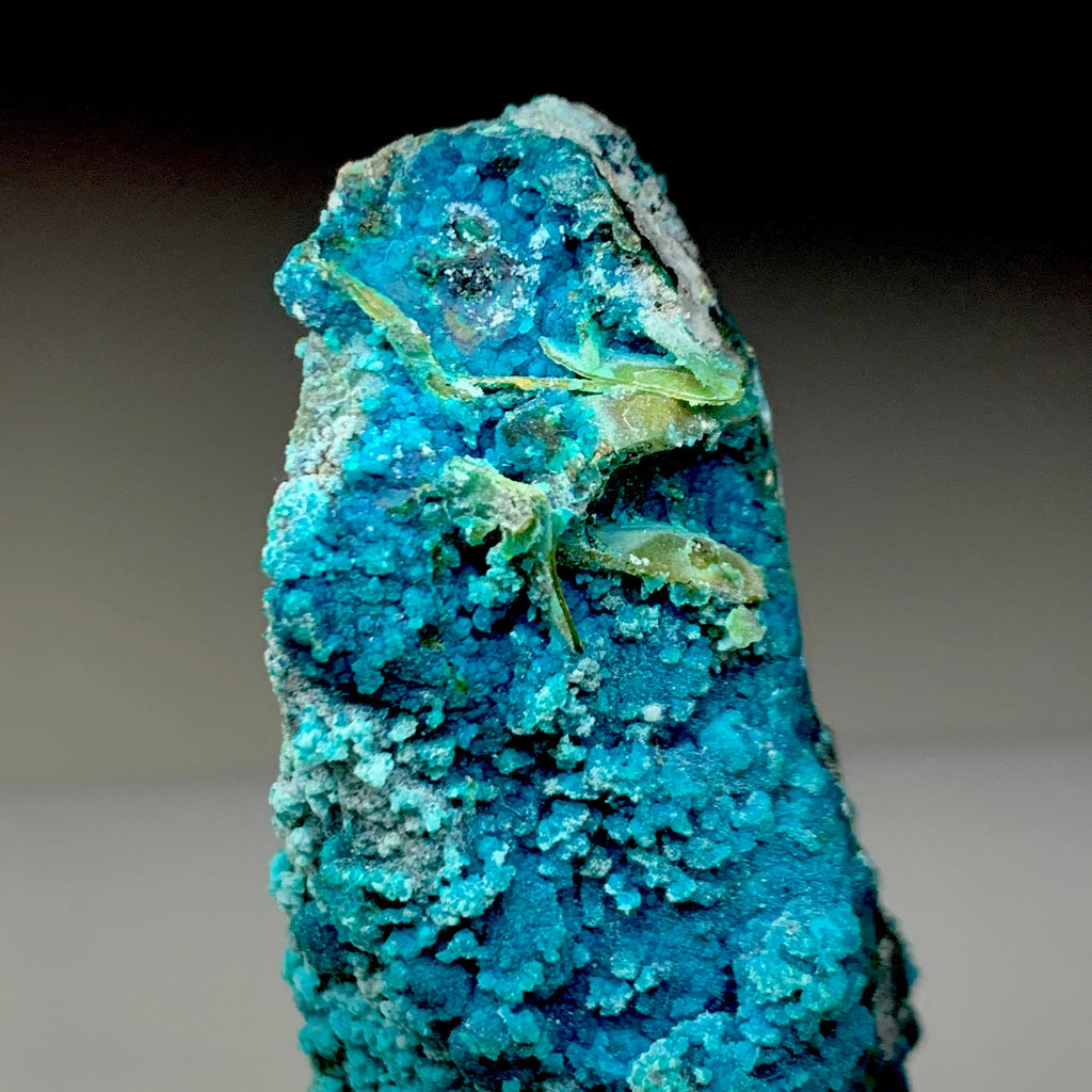 Chrysocolla on Quartz with Malachite | Natural Mineral Specimen