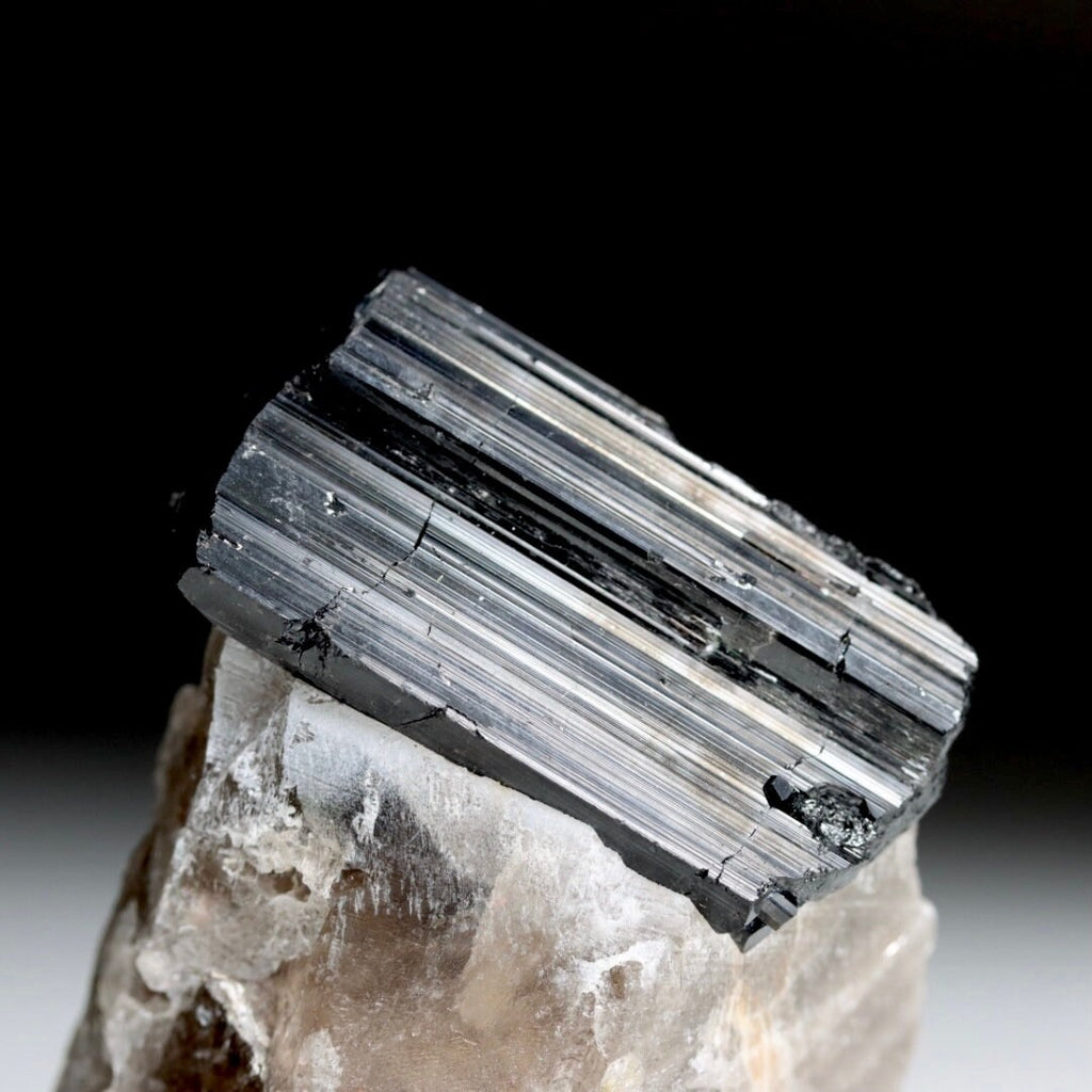 Schorl Black Tourmaline on Quartz