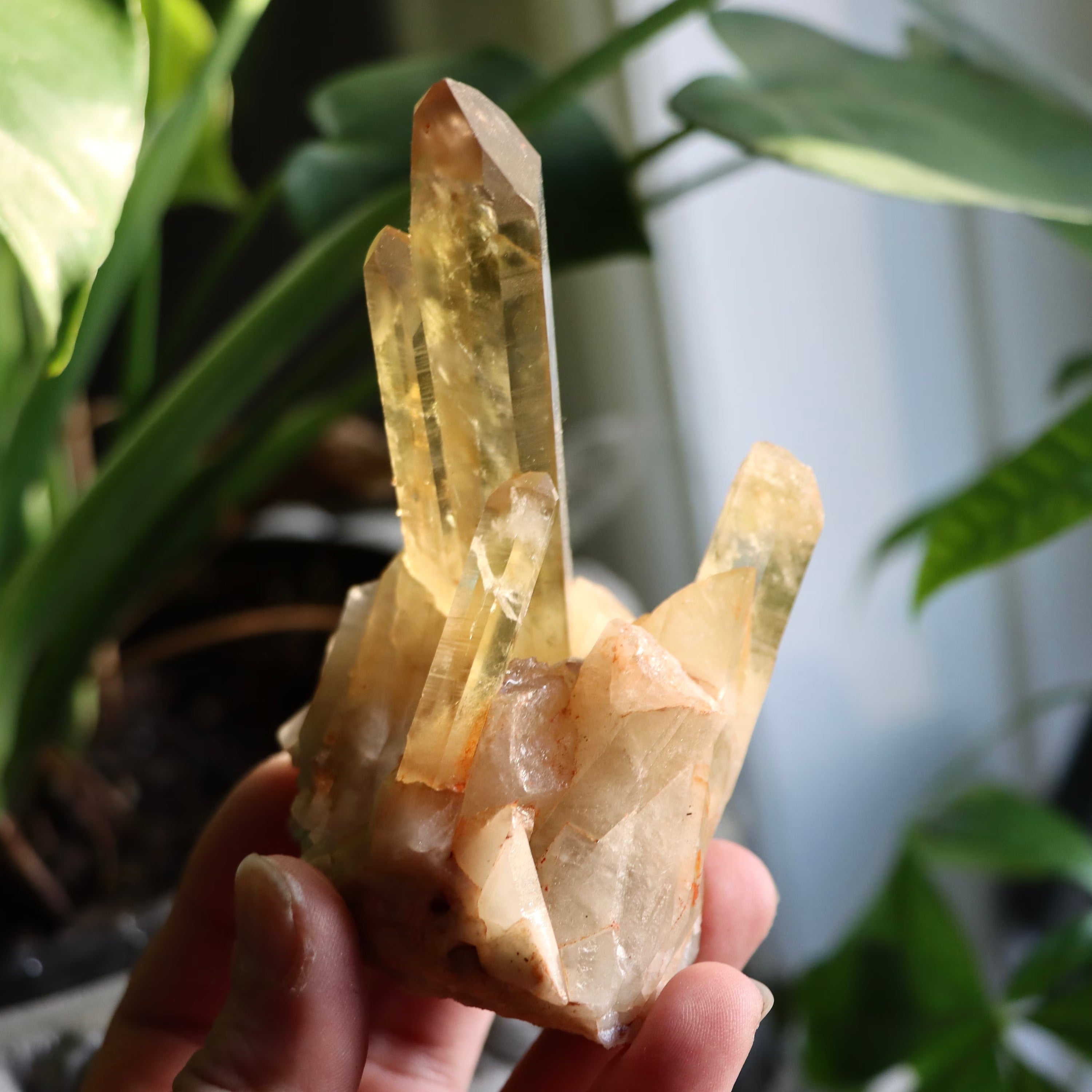 Natural Citrine Point | Madagascar
