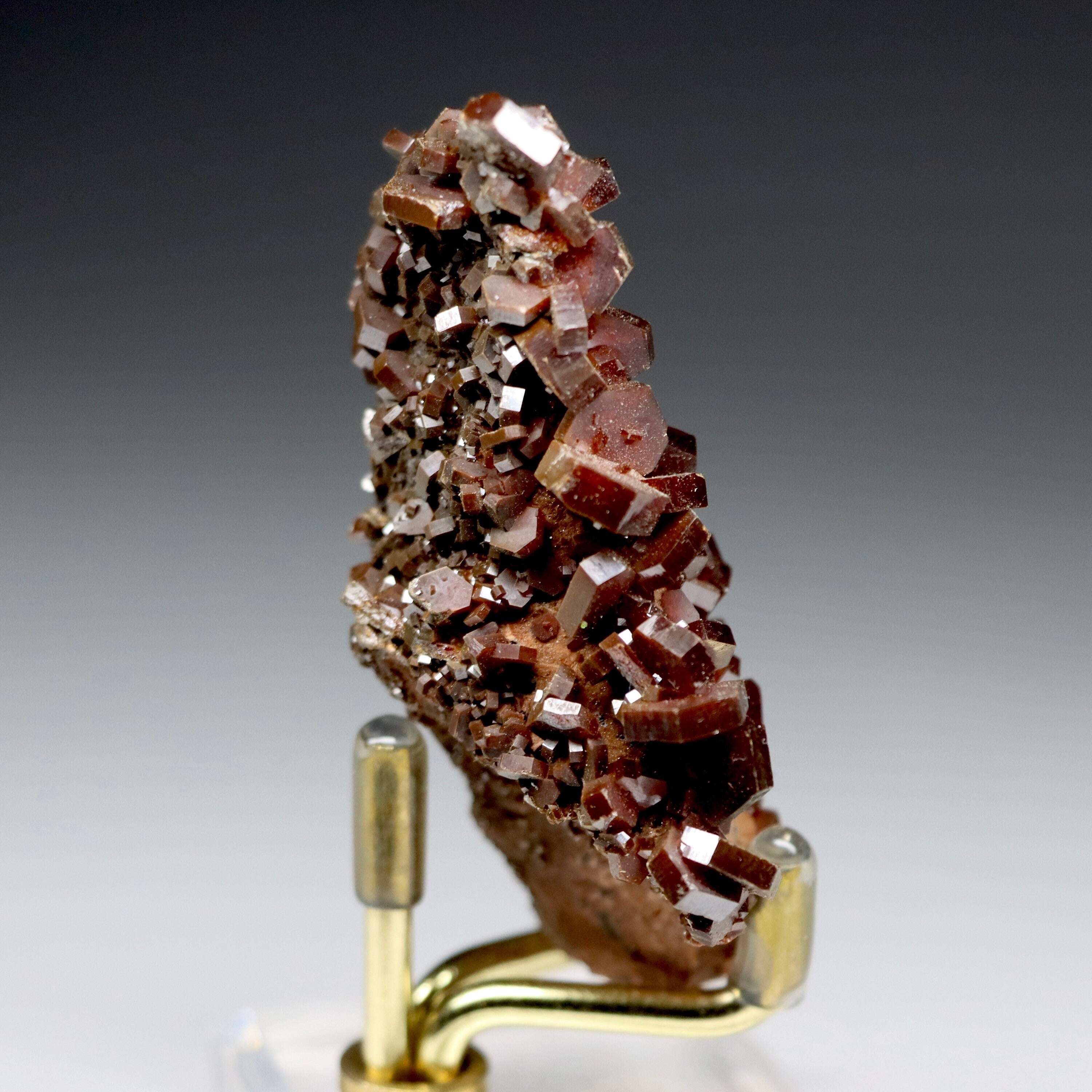 Vanadinite Crystal | Morocco (Second Specimen)