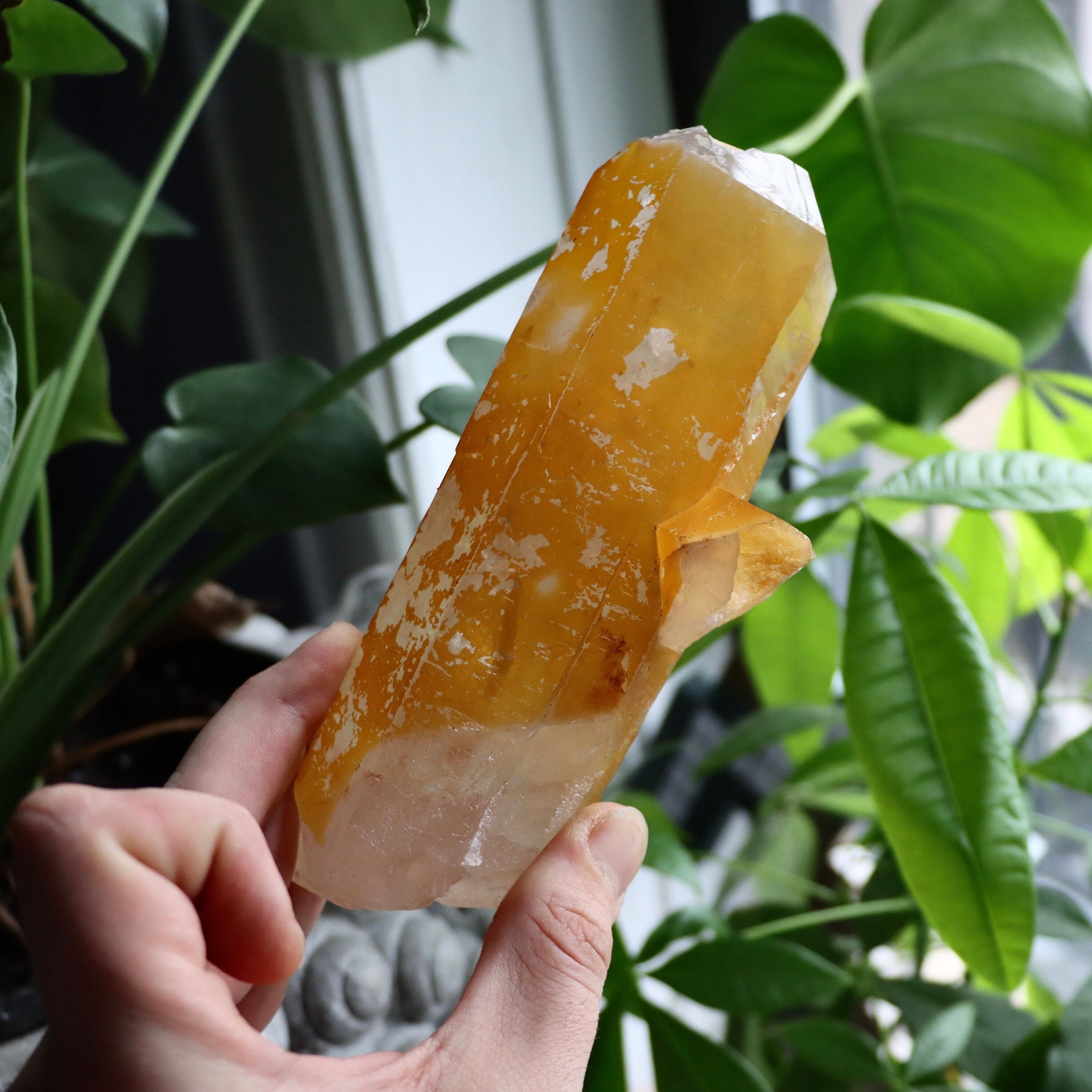 Golden Healer Quartz Crystal | Natural Quartz Point
