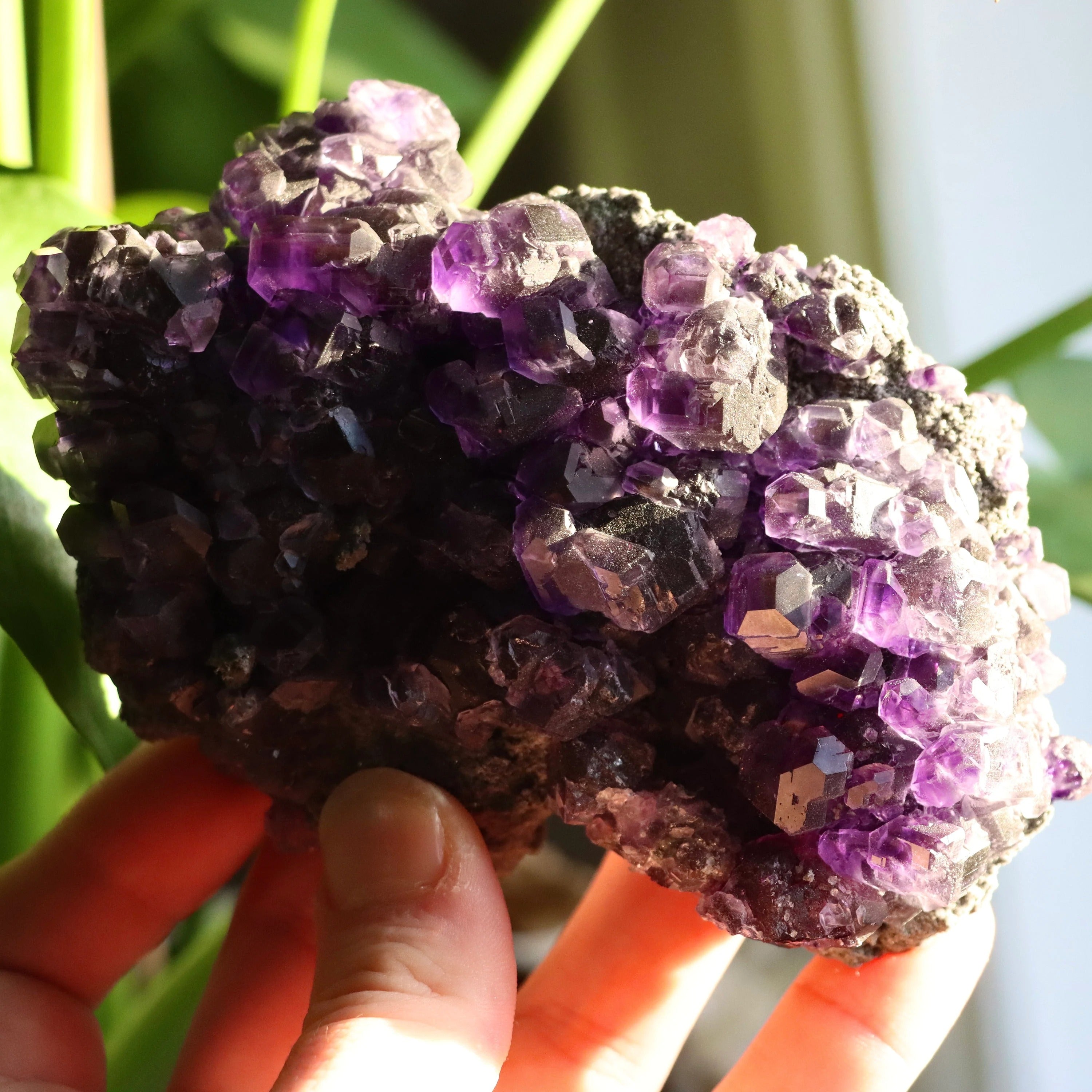 Purple “Tanzanite” Fluorite Crystal | Natural Cubic Fluorite from Xiayang Mine, Fujian, China