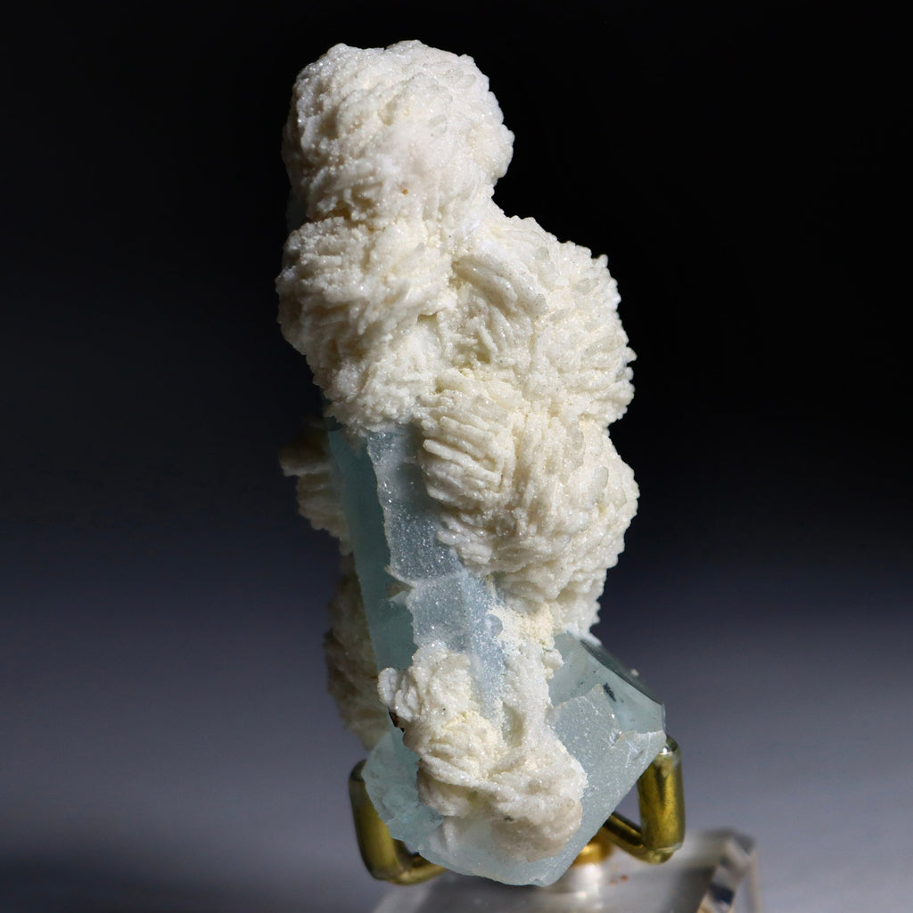 Aquamarine Crystal in Albite Rosettes with Black Tourmaline | Natural Mineral Specimen from Shigar Valley, Pakistan