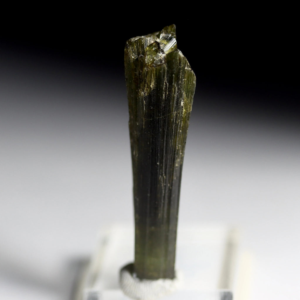 Green Catseye Tourmaline Crystal | Natural Green Tourmaline from Minas Gerais