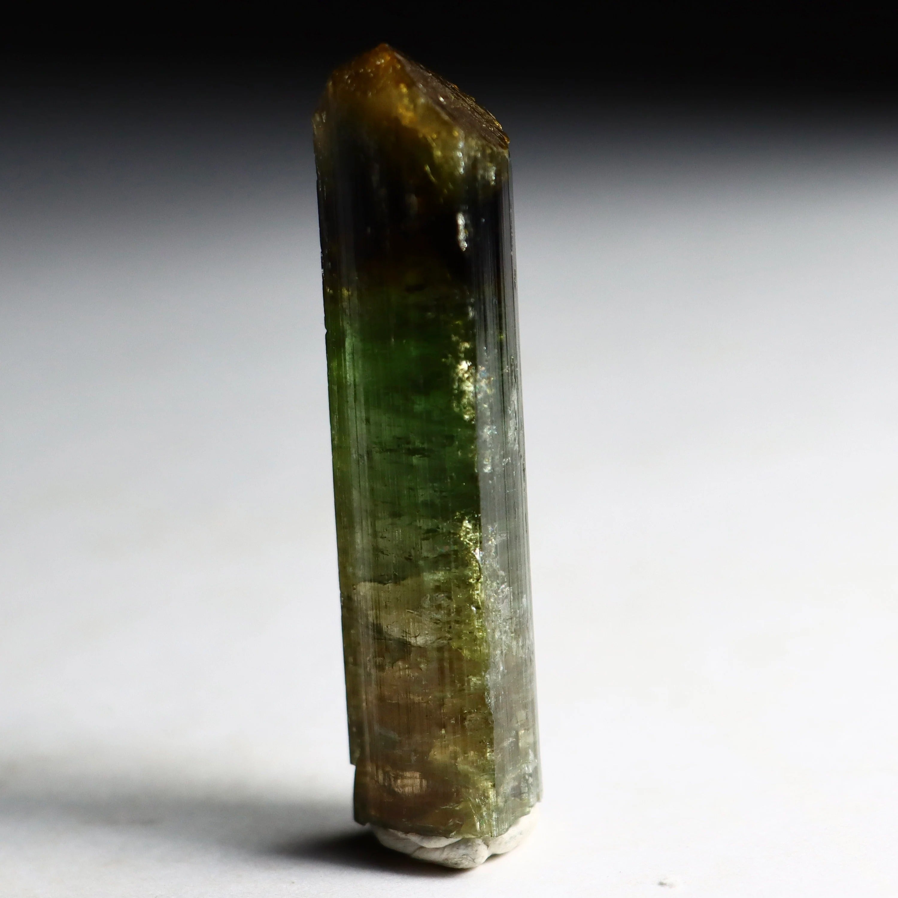 Watermelon Tourmaline Pencil Crystal | Natural Pink & Green Tourmaline on Quartz from Minas Gerais, Brazil