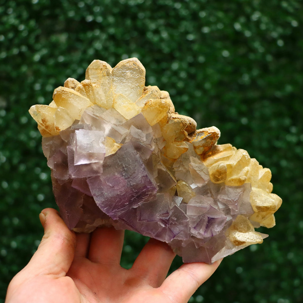 Calcite with Fluorite | Natural Fluorite Mineral Specimen