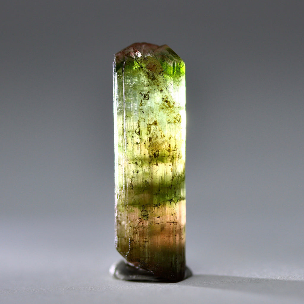 Catseye Watermelon Tourmaline Crystal