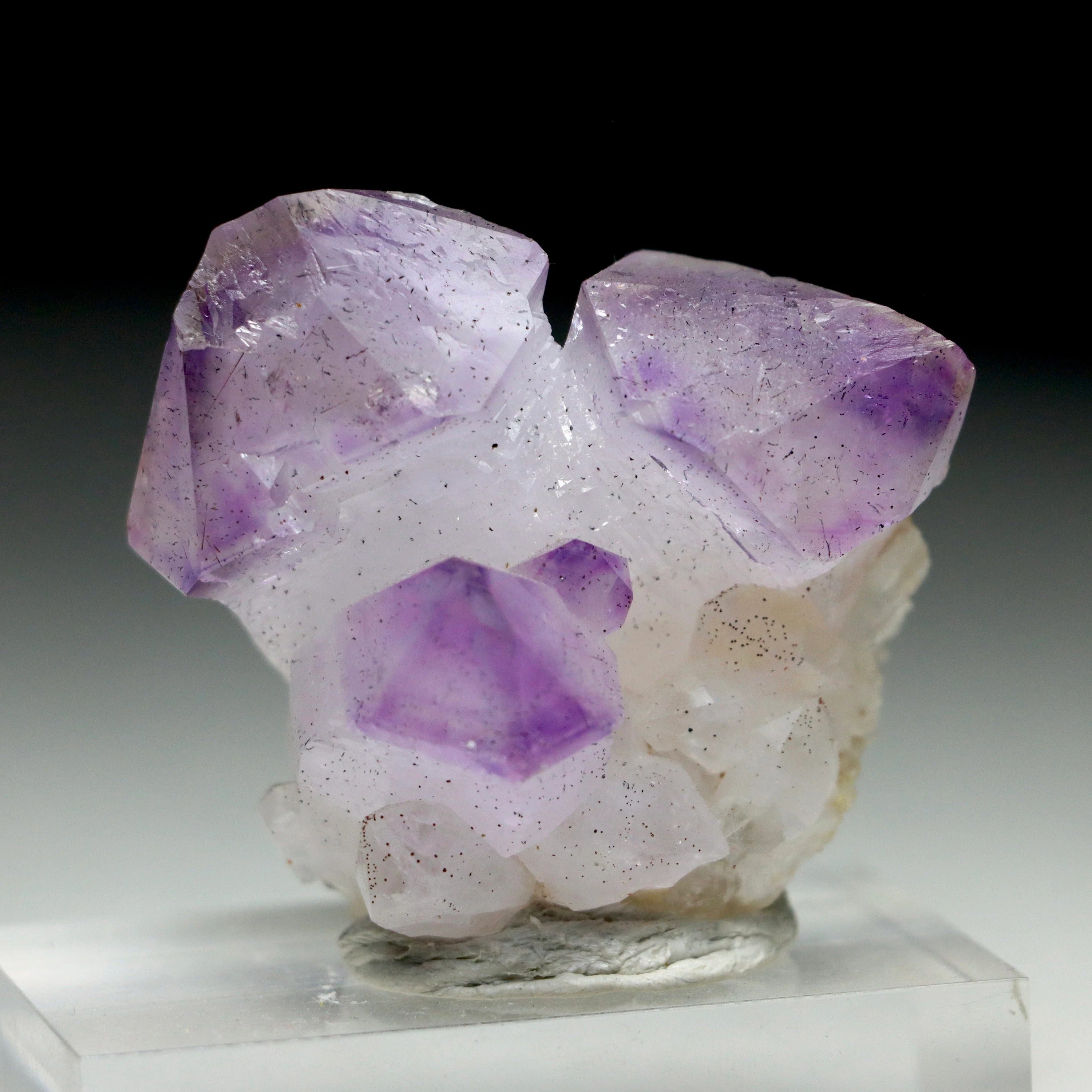 Japan Law Twin Amethyst Scepter | Natural Amethyst Quartz Crystal from Marovaolavo Mine, Madagascar