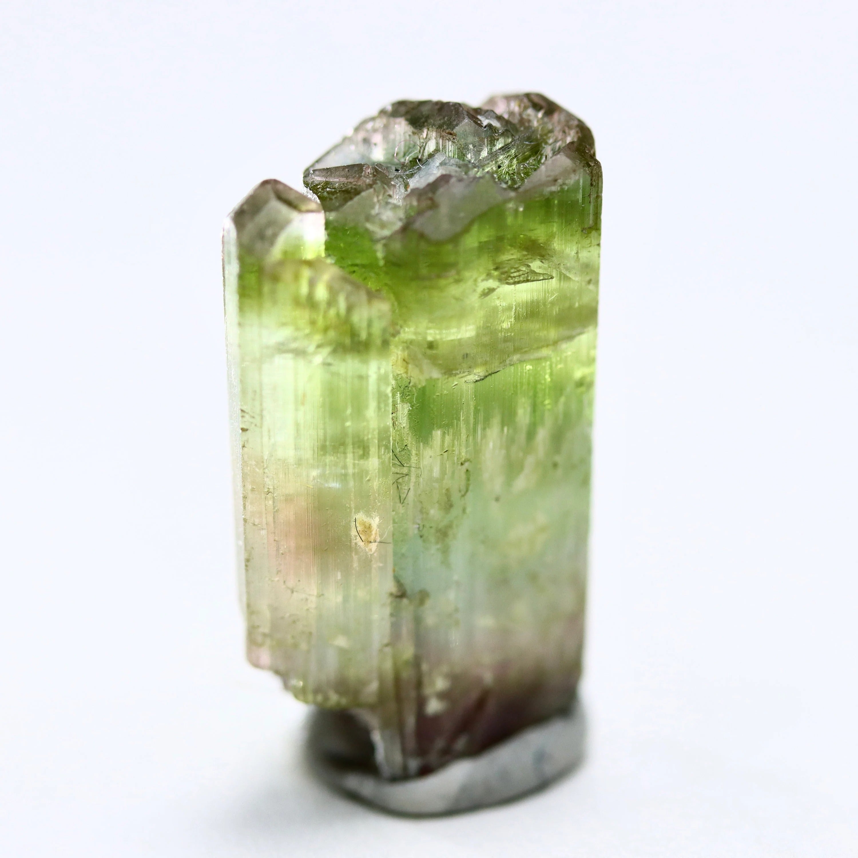 Catseye Watermelon Tourmaline Crystal | Green & Pink Tourmaline from Brazil