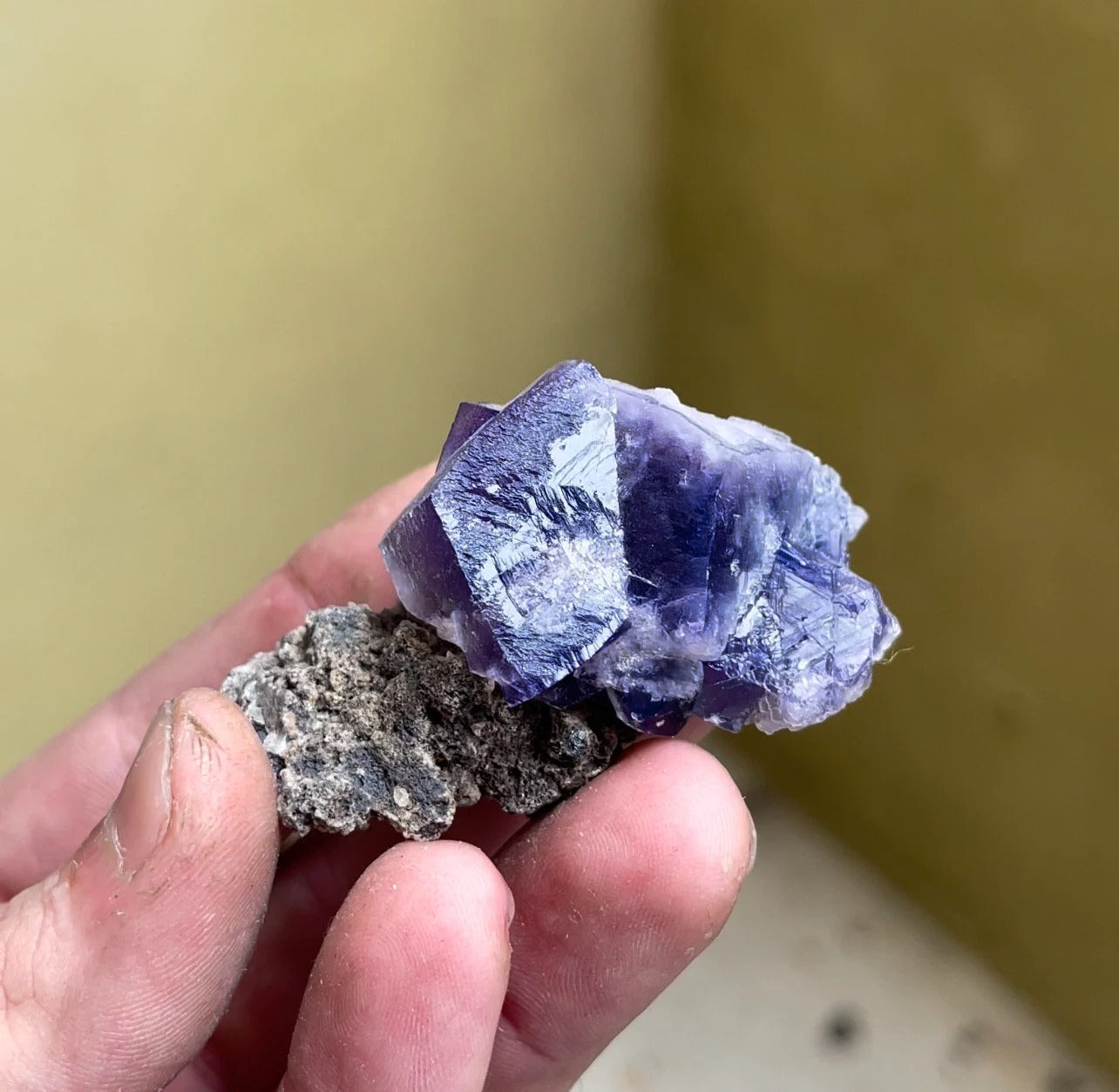 Color Changing Fluorite on Matrix | Rogerley Mine