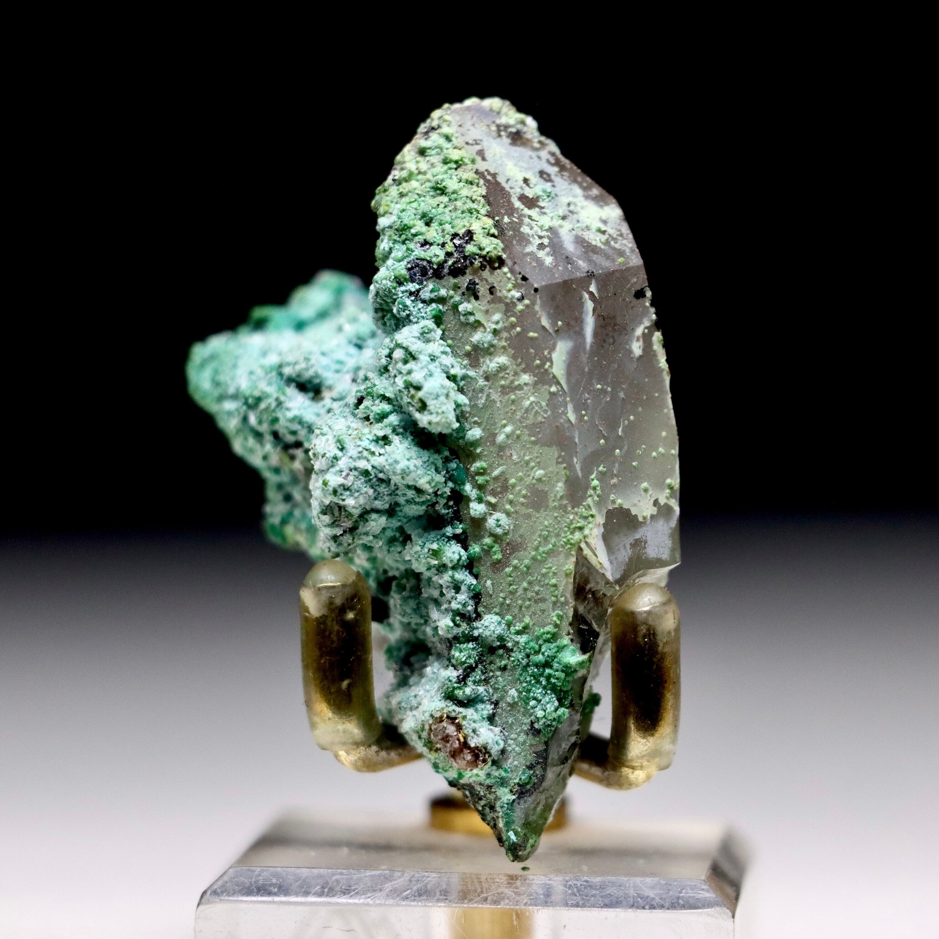 Chrysocolla on Quartz with Malachite