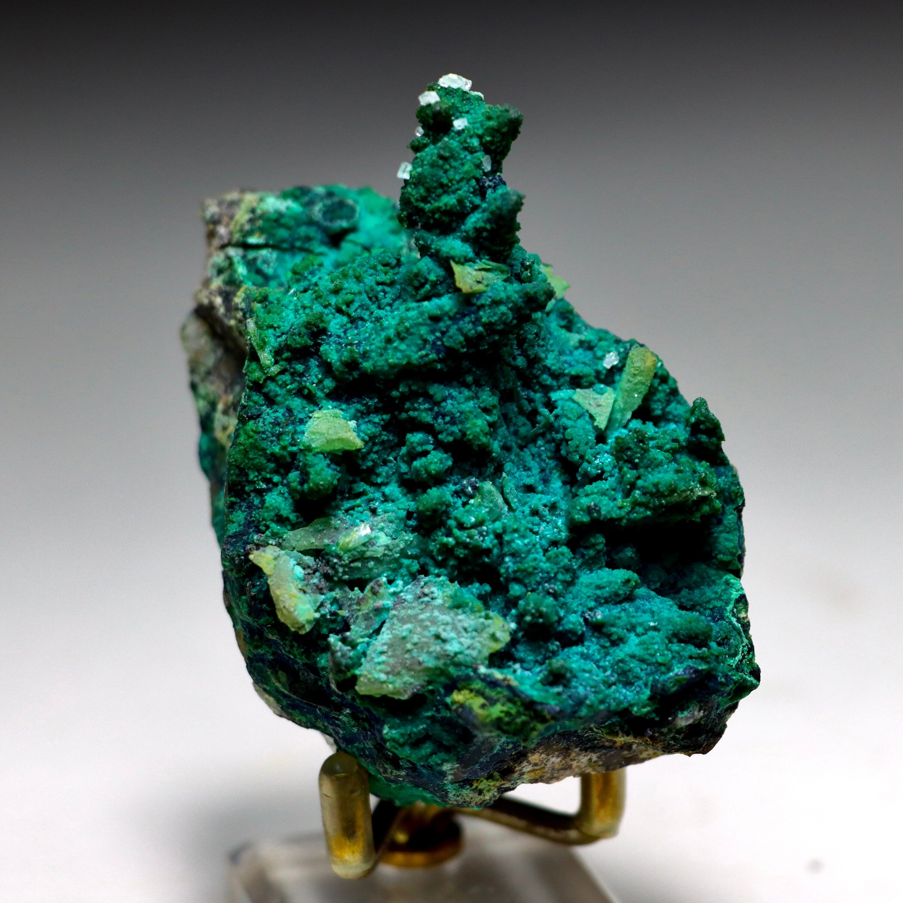 Chrysocolla after Calcite on Quartz with Malachite | Mineral Specimen