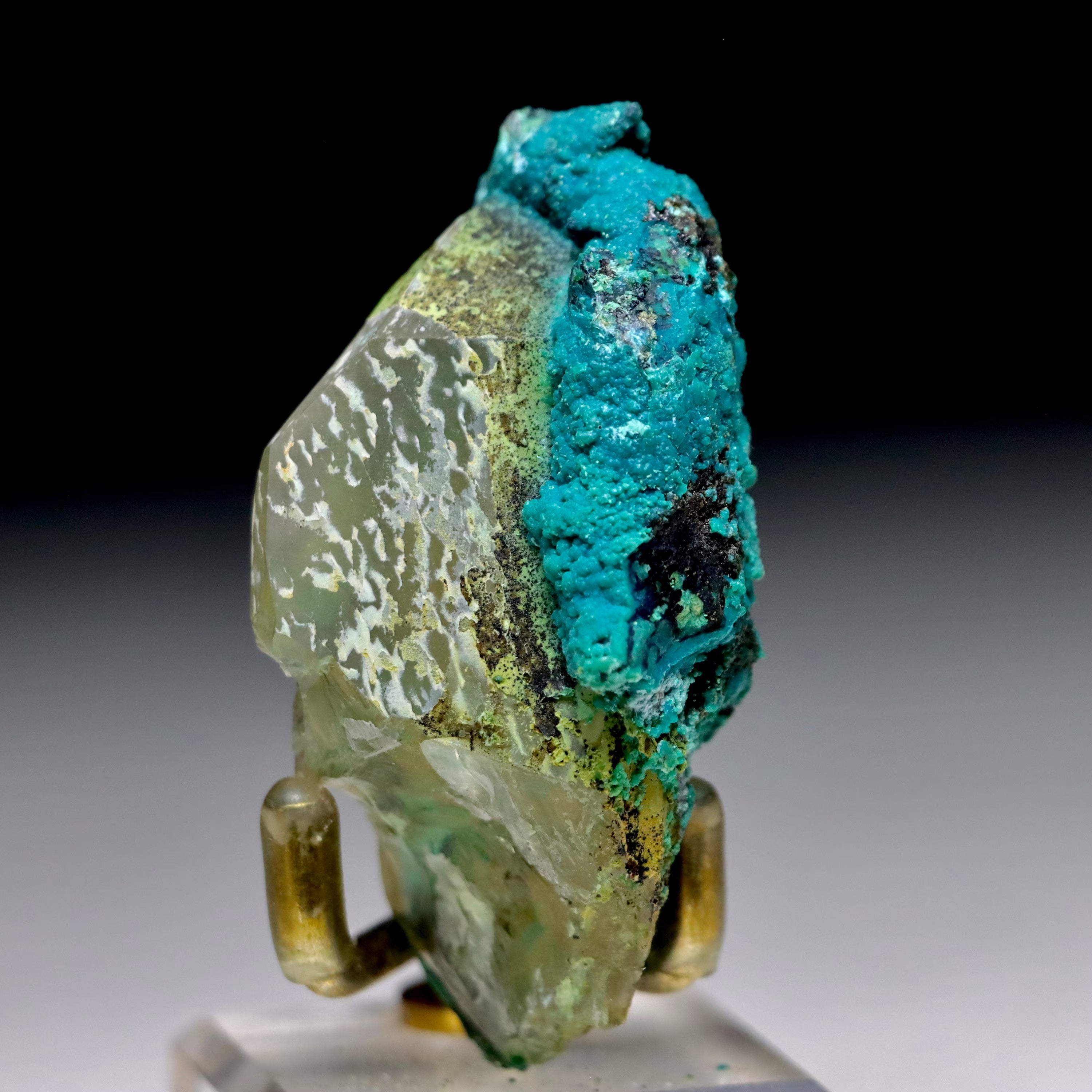 Chrysocolla after Calcite w/ Chrysocolla on Quartz w/ Malachite