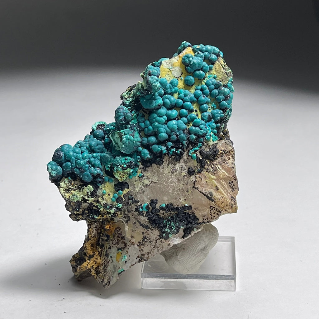 Botryoidal Chrysocolla on Quartz | Natural Mineral Specimen from Tentadora Mine, Peru