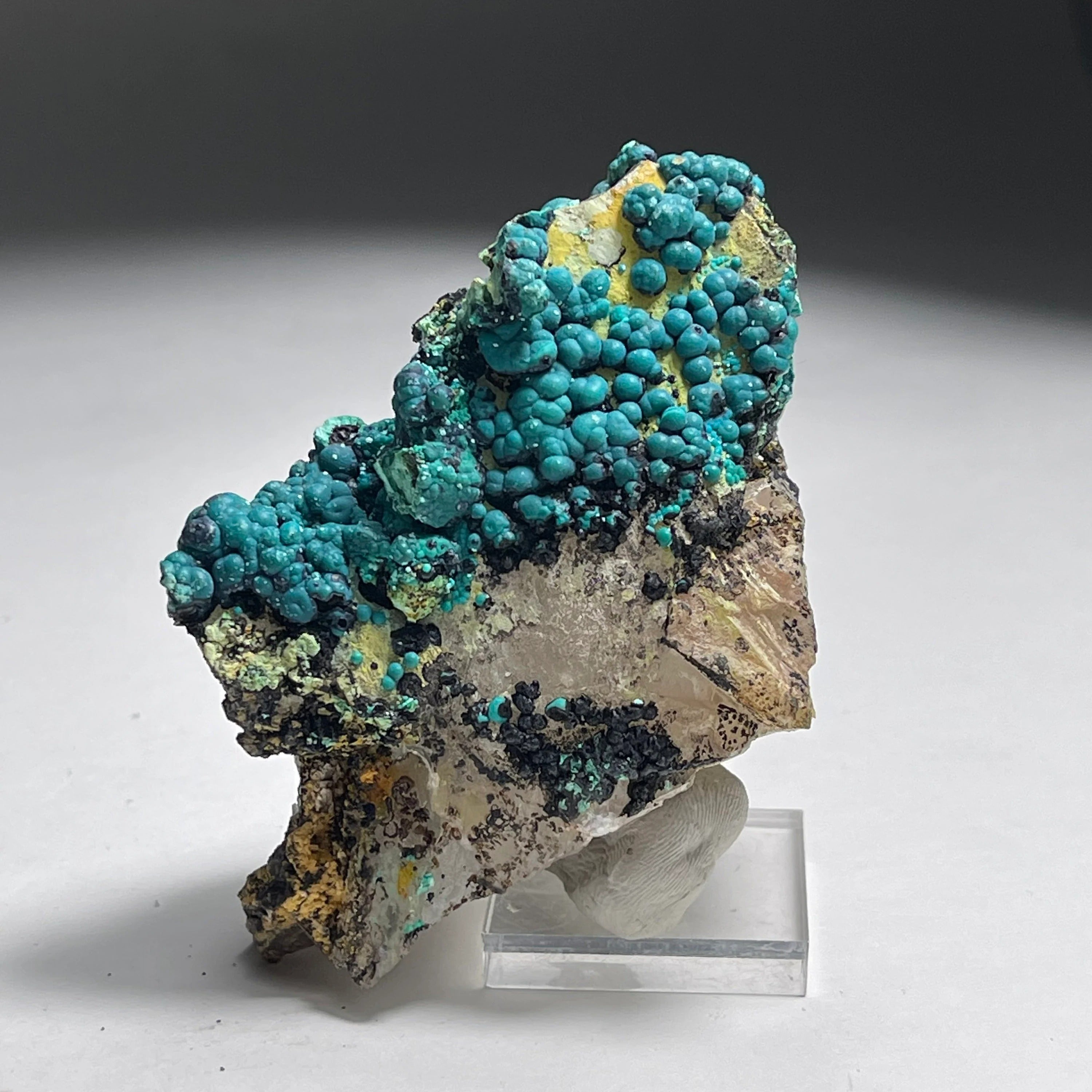 Botryoidal Chrysocolla on Quartz | Natural Mineral Specimen from Tentadora Mine, Peru