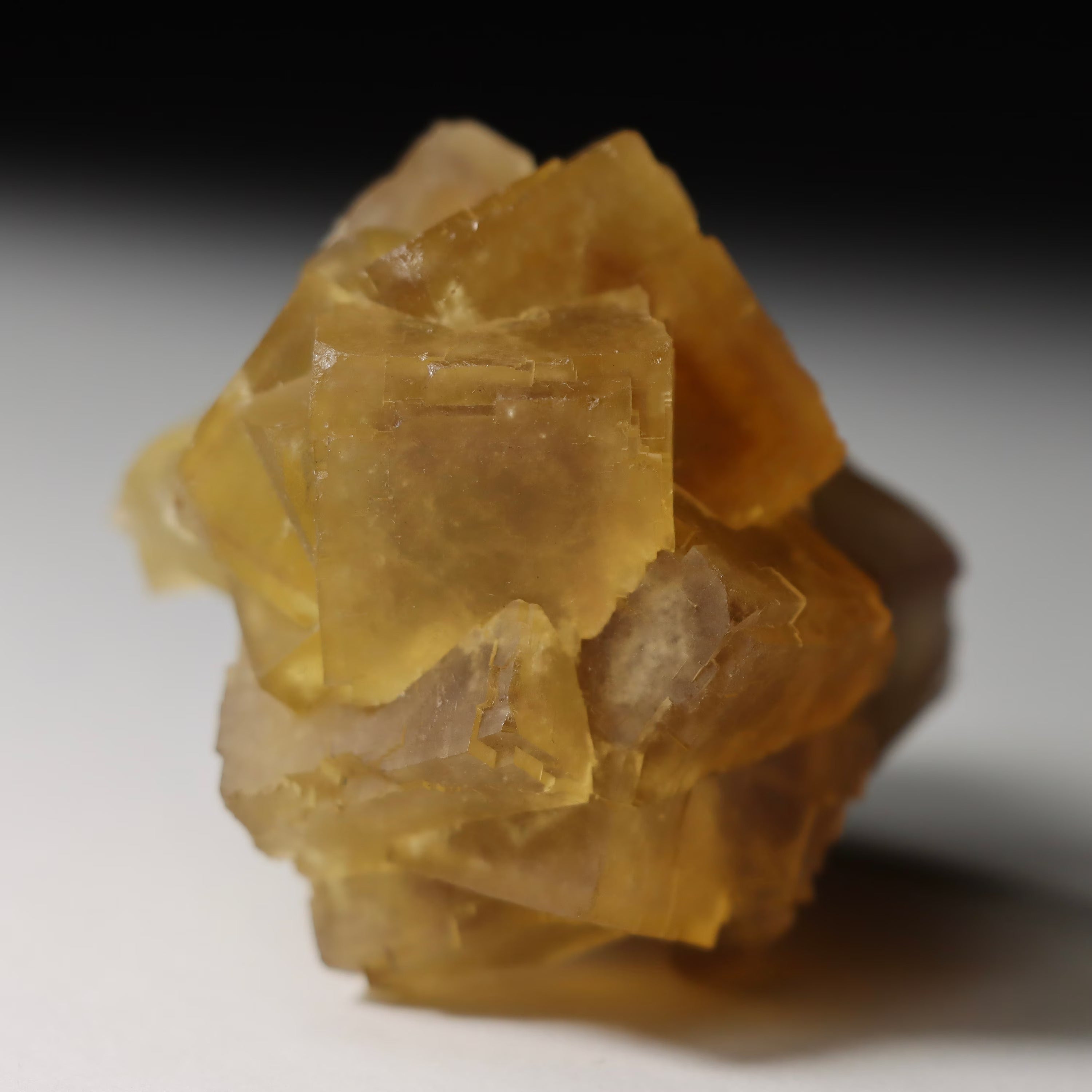 Yellow Fluorite on Matrix | Anhui China