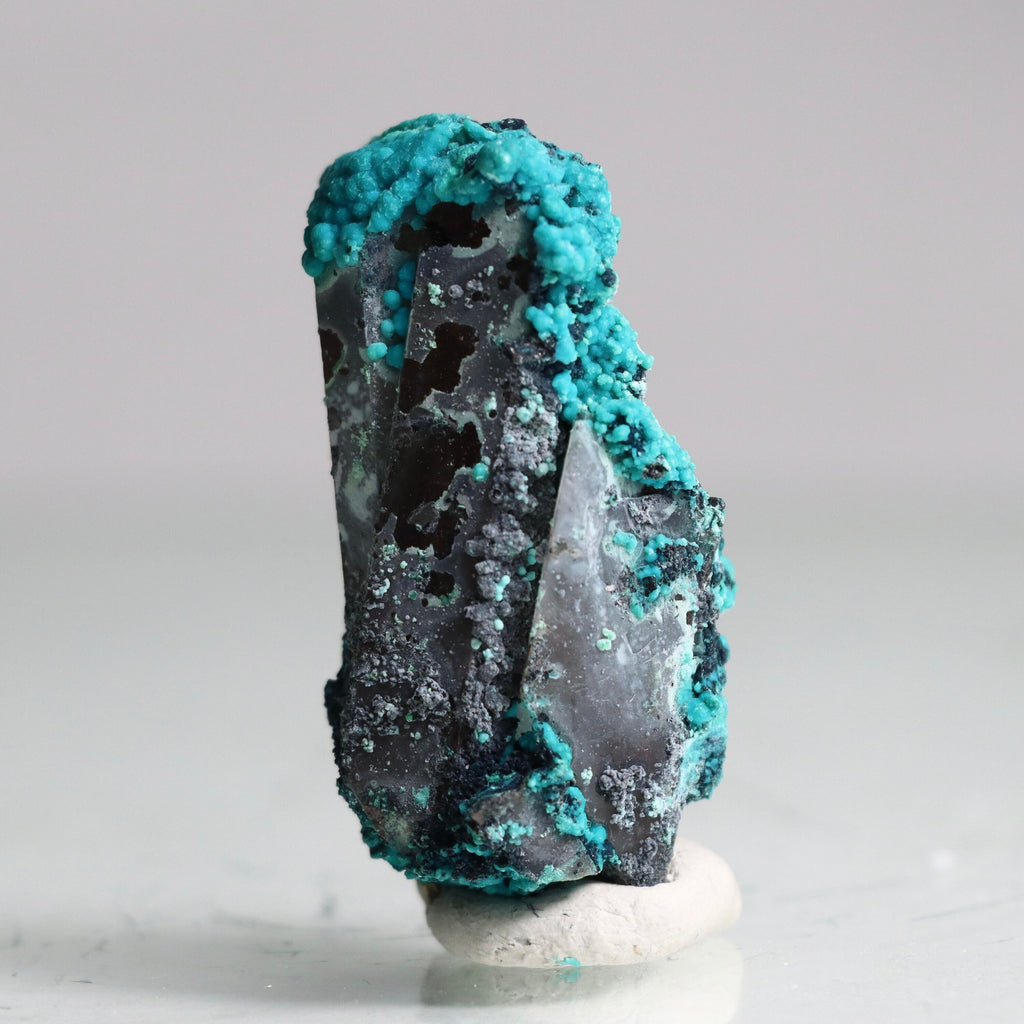 Azurite on Botryoidal Chrysocolla on Quartz