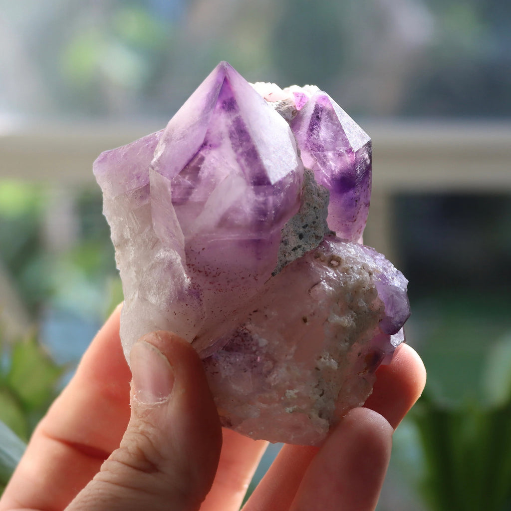 Phantom Brandberg Amethyst on Matrix | Namibia