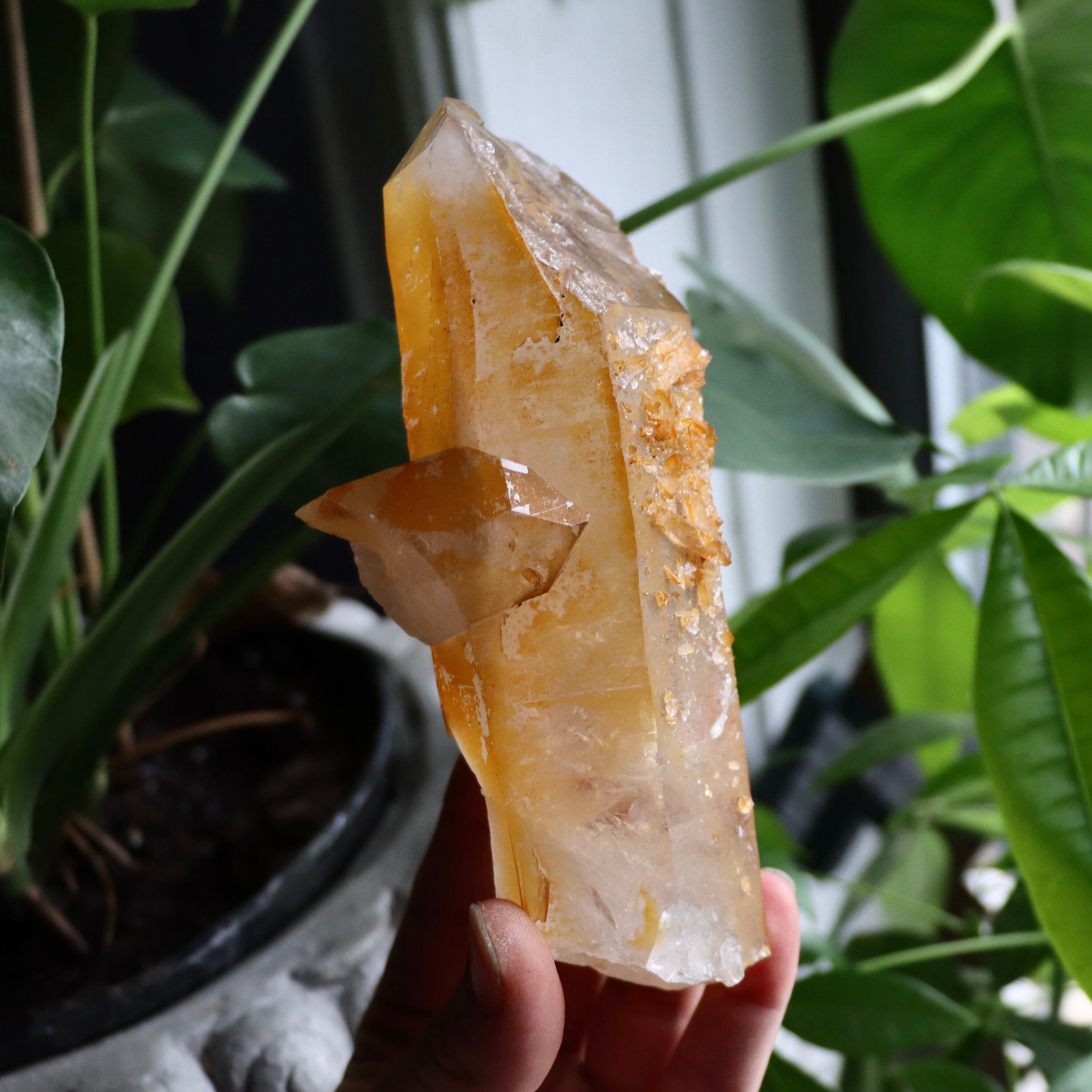 Golden Healer Quartz Crystal | Natural Quartz Point
