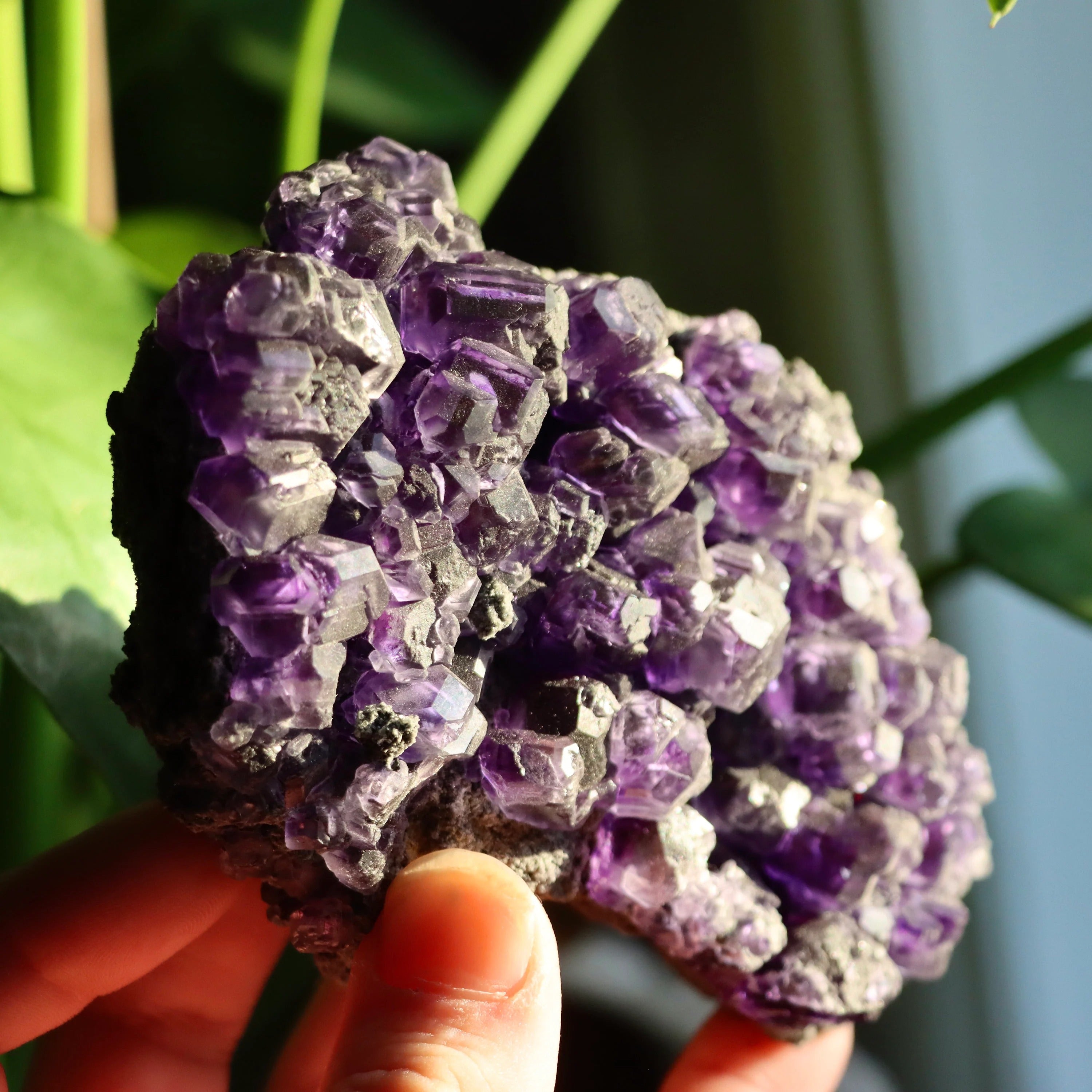 Purple “Tanzanite” Fluorite Crystal | Natural Cubic Fluorite from Xiayang Mine, Fujian, China