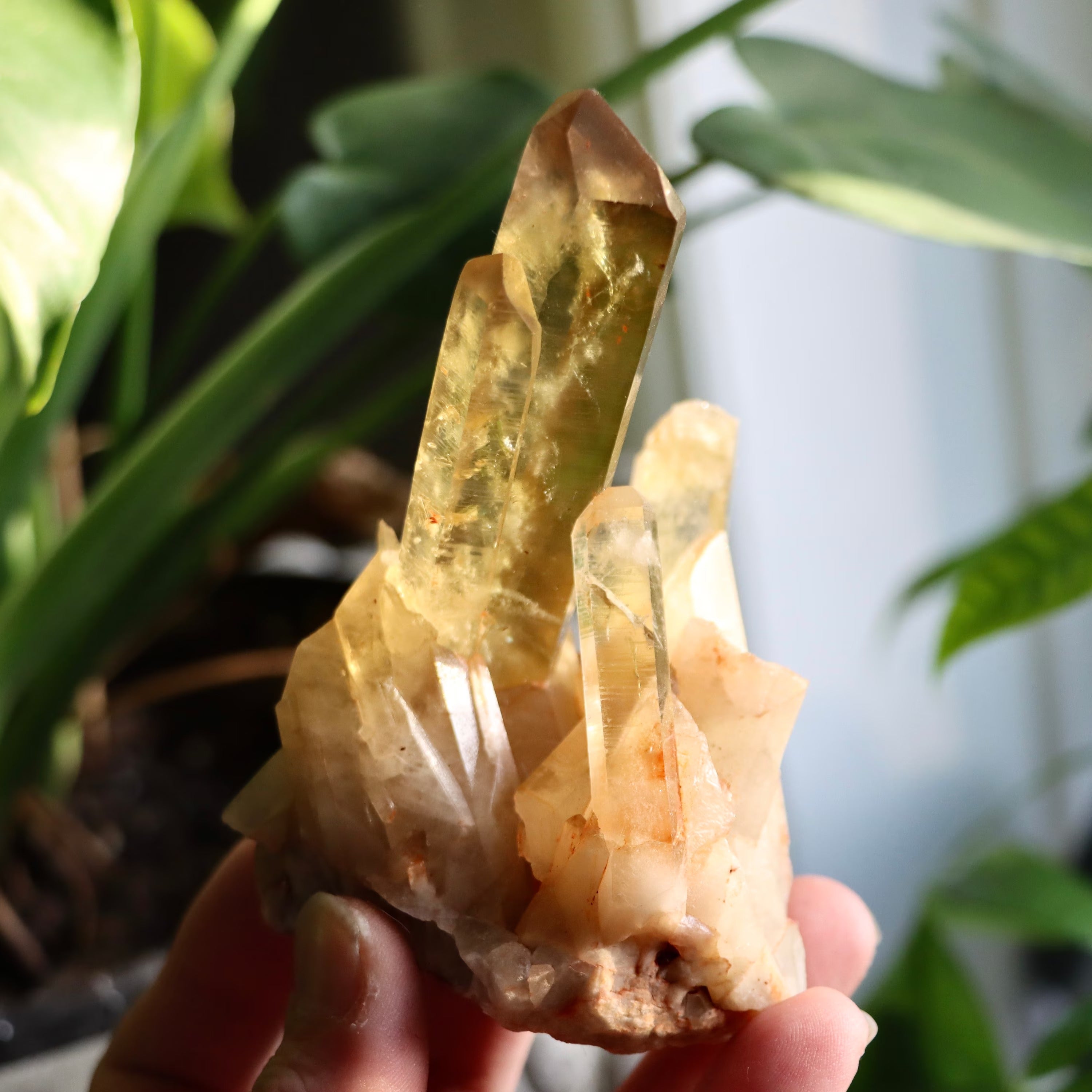 Natural Citrine Point | Madagascar