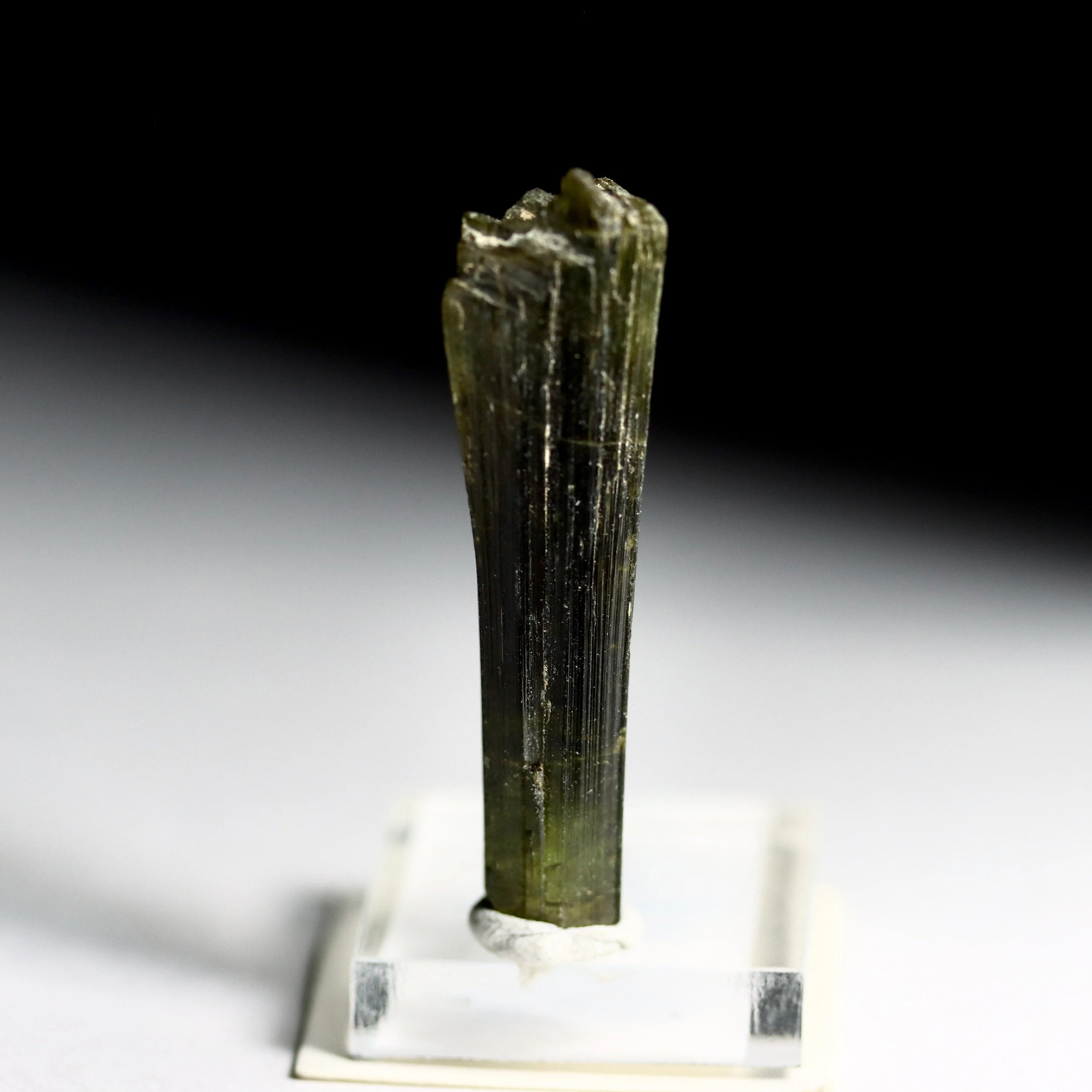 Green Catseye Tourmaline Crystal | Natural Green Tourmaline from Minas Gerais