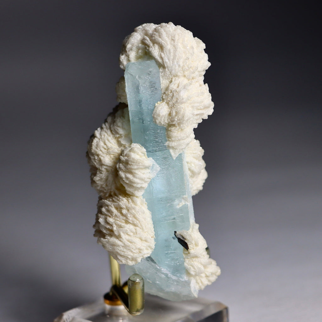 Aquamarine Crystal in Albite Rosettes with Black Tourmaline | Natural Mineral Specimen from Shigar Valley, Pakistan