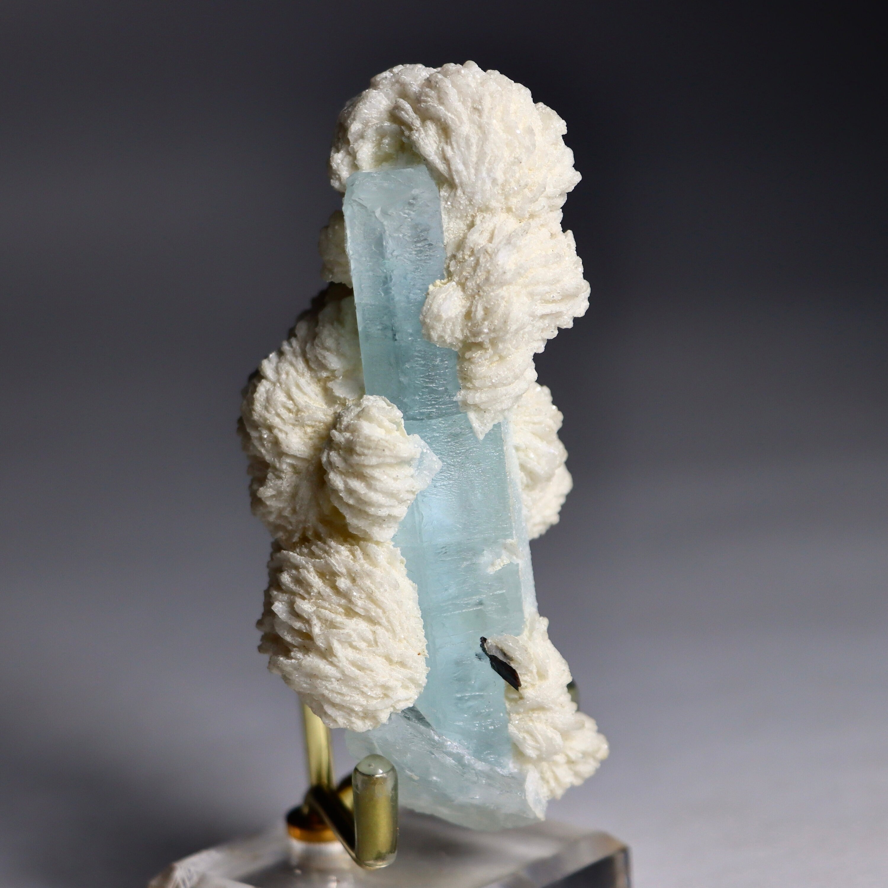 Aquamarine Crystal in Albite Rosettes with Black Tourmaline | Natural Mineral Specimen from Shigar Valley, Pakistan