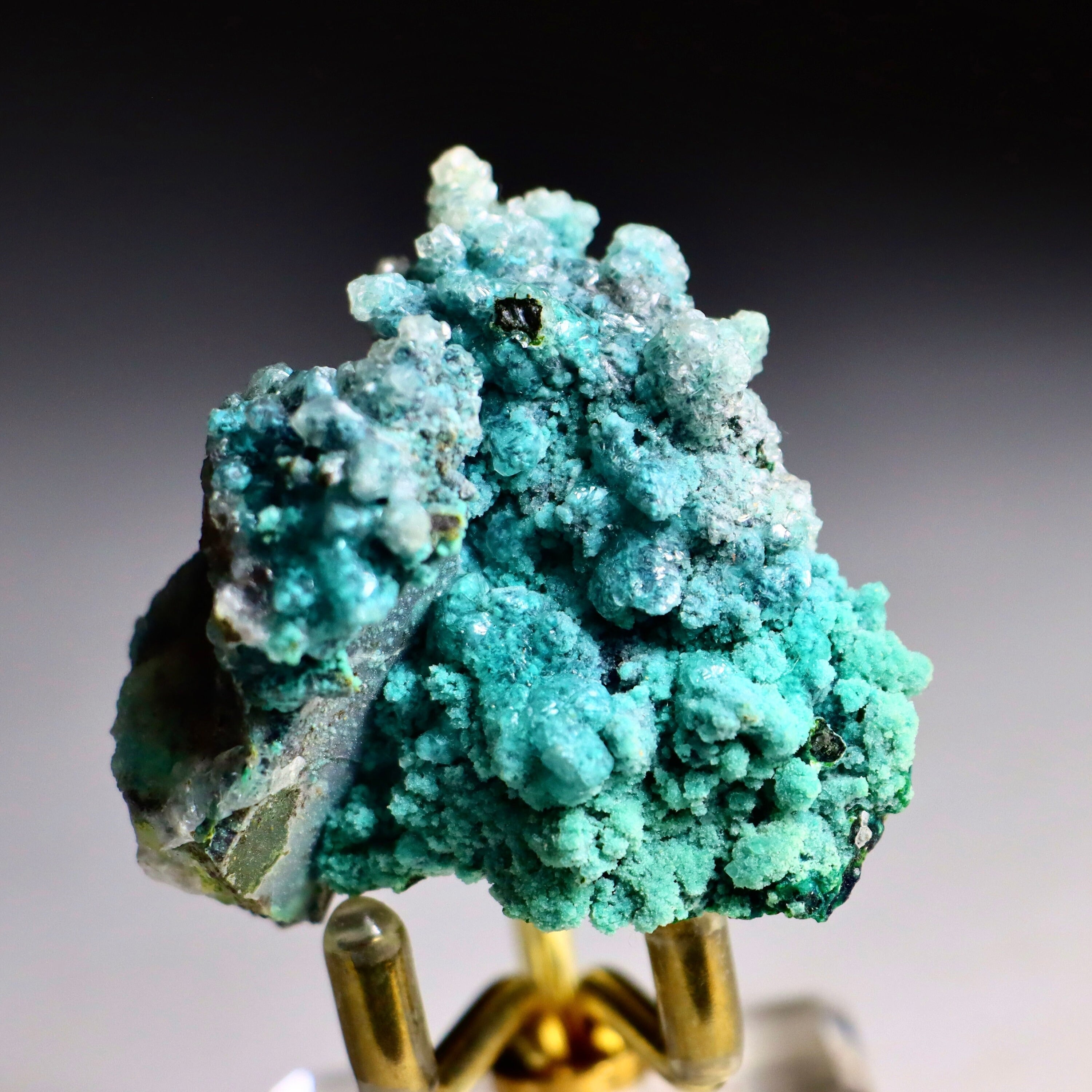 Chrysocolla on Quartz with Malachite