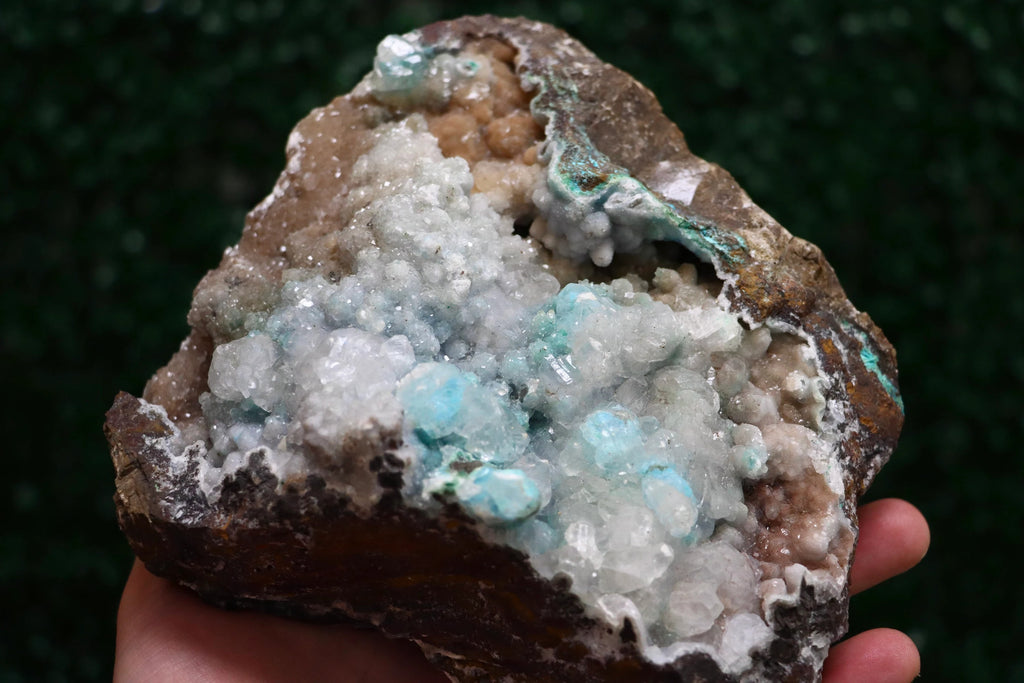 Druzy Quartz & Calcite on Chrysocolla and Malachite | Fine Mineral Specimen from Lily Mine, Peru