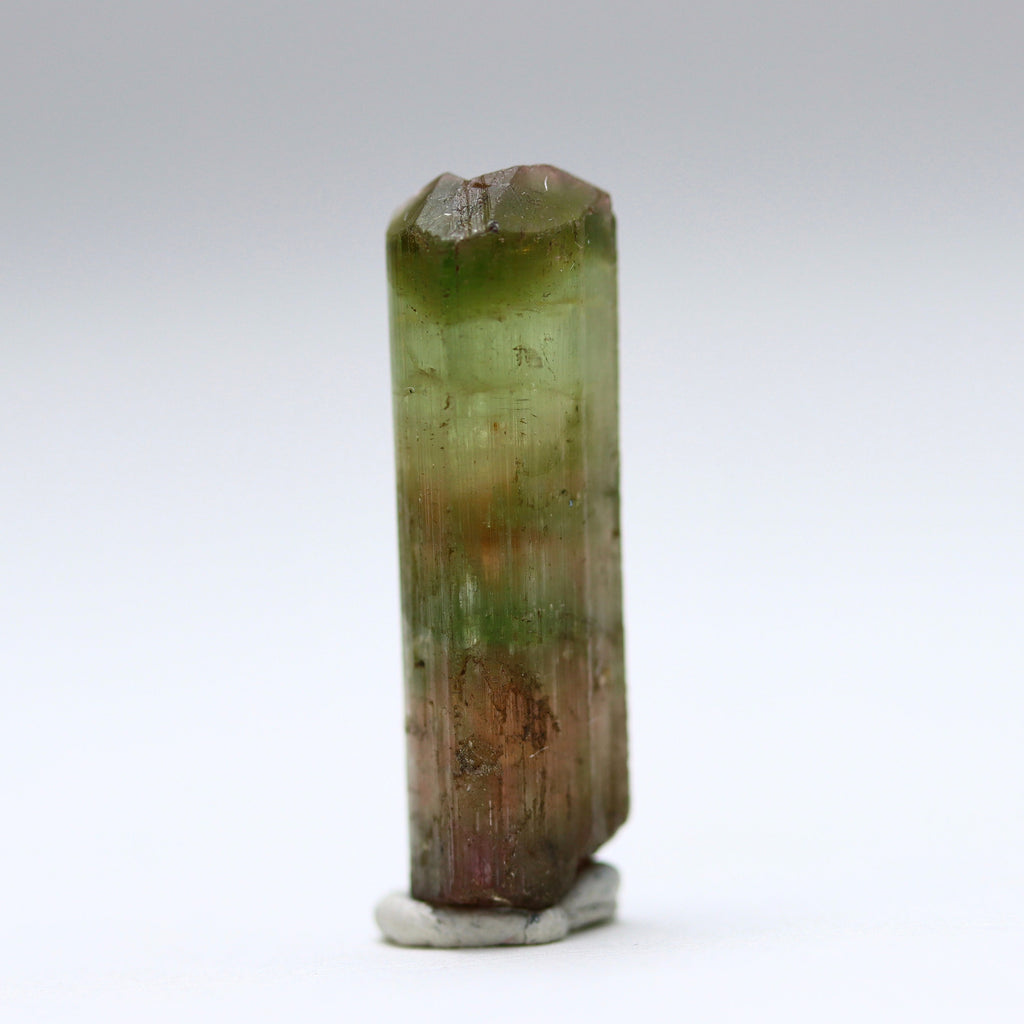 Catseye Watermelon Tourmaline Crystal
