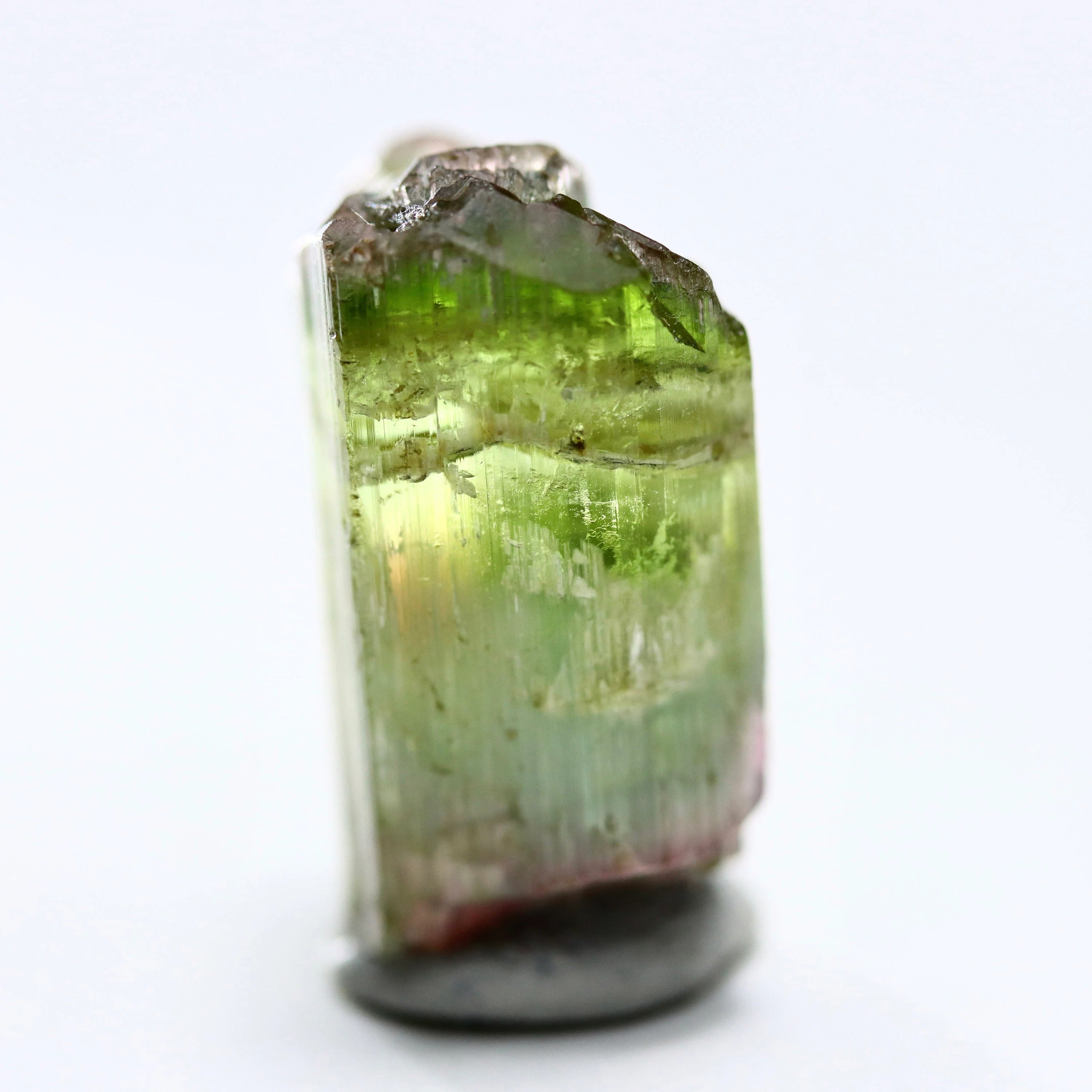 Catseye Watermelon Tourmaline Crystal | Green & Pink Tourmaline from Brazil