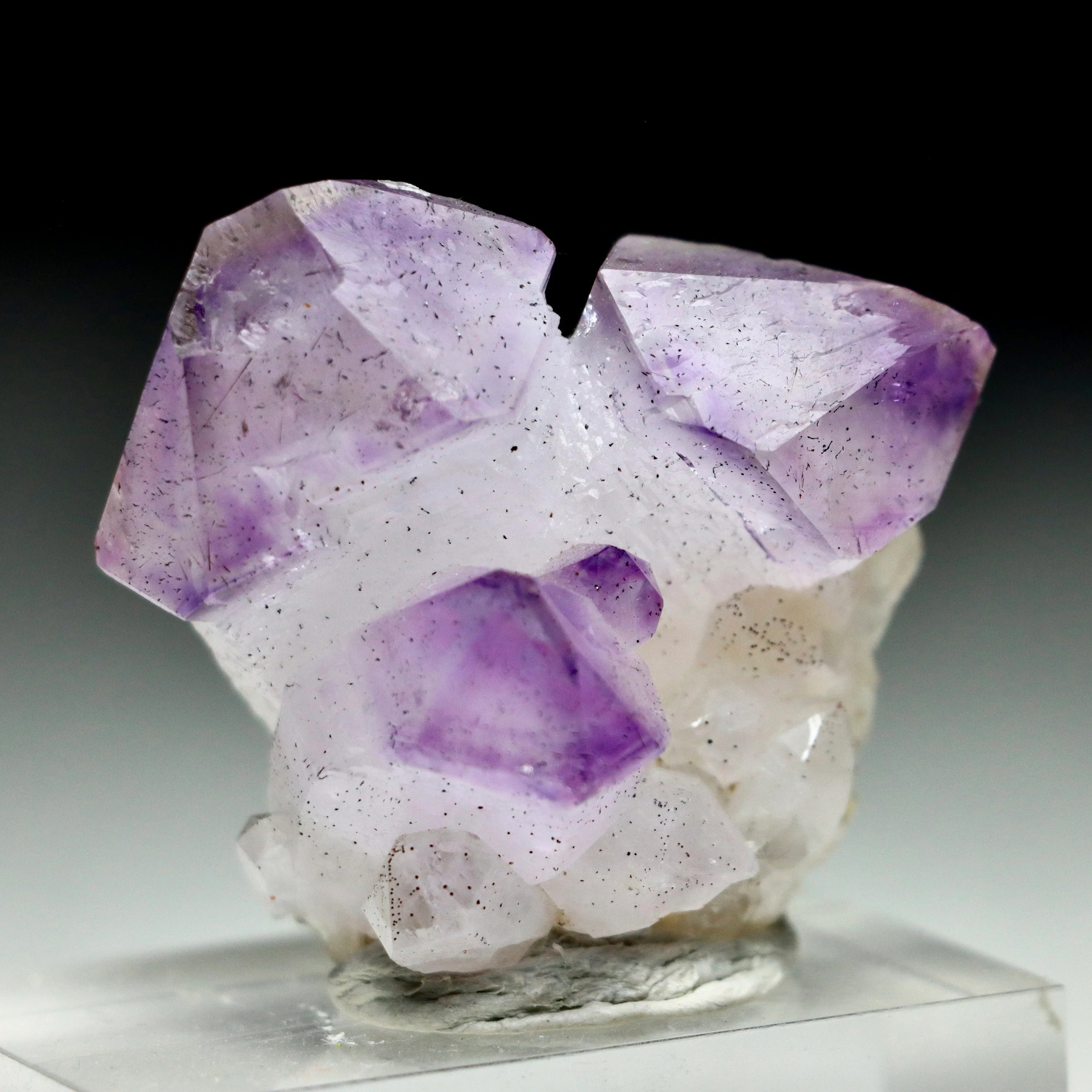 Japan Law Twin Amethyst Scepter | Natural Amethyst Quartz Crystal from Marovaolavo Mine, Madagascar