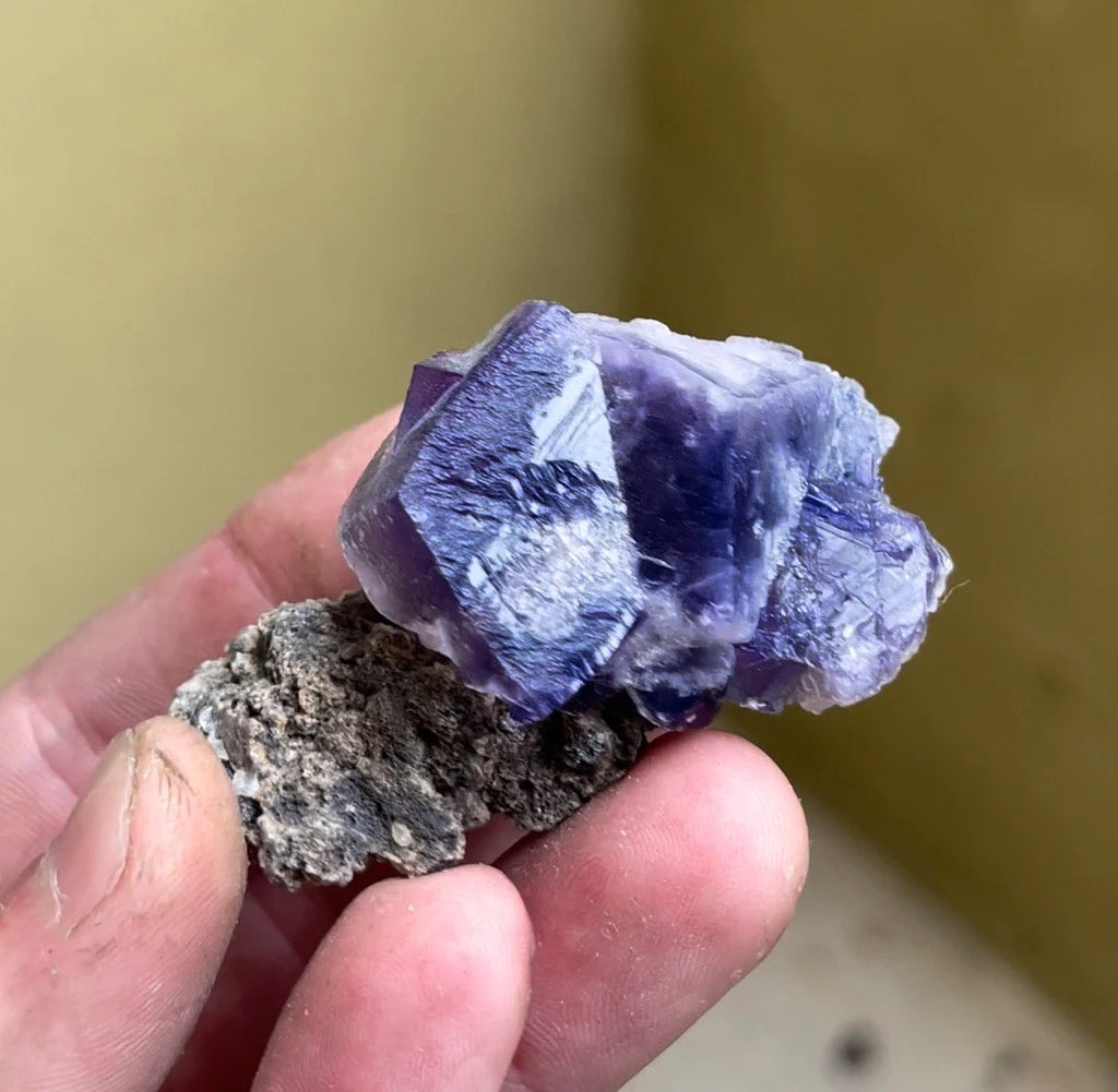 Color Changing Fluorite on Matrix | Rogerley Mine