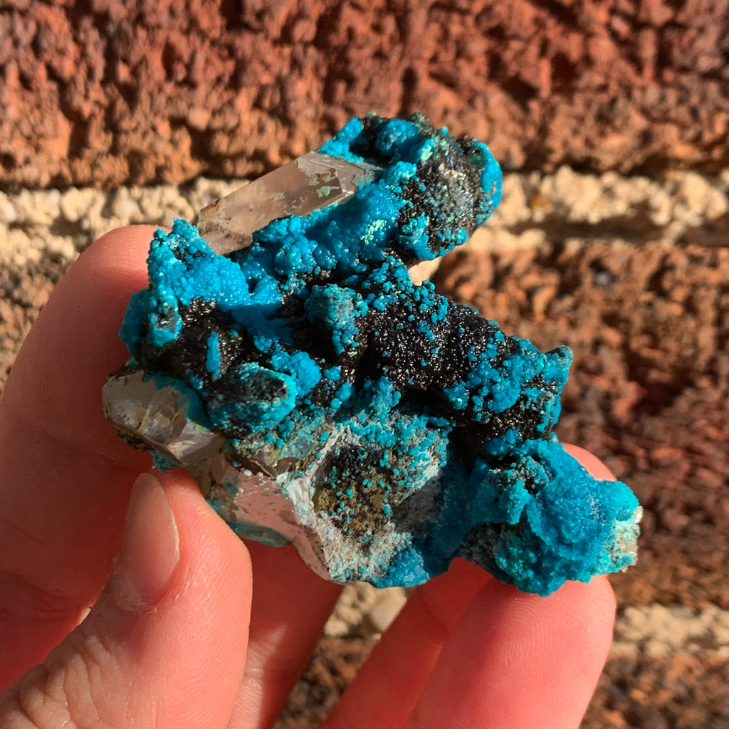 Chrysocolla after Calcite on Quartz | Raw Quartz Crystal Raw Crystal Natural Quartz Stone Healing Crystal Point Quartz Smokey