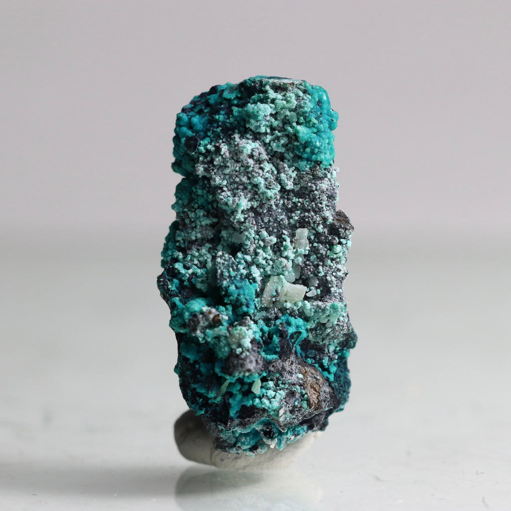 Azurite on Botryoidal Chrysocolla on Quartz