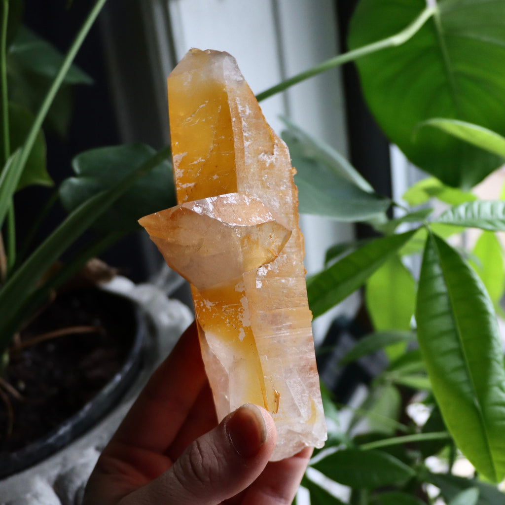 Golden Healer Quartz Crystal | Natural Quartz Point